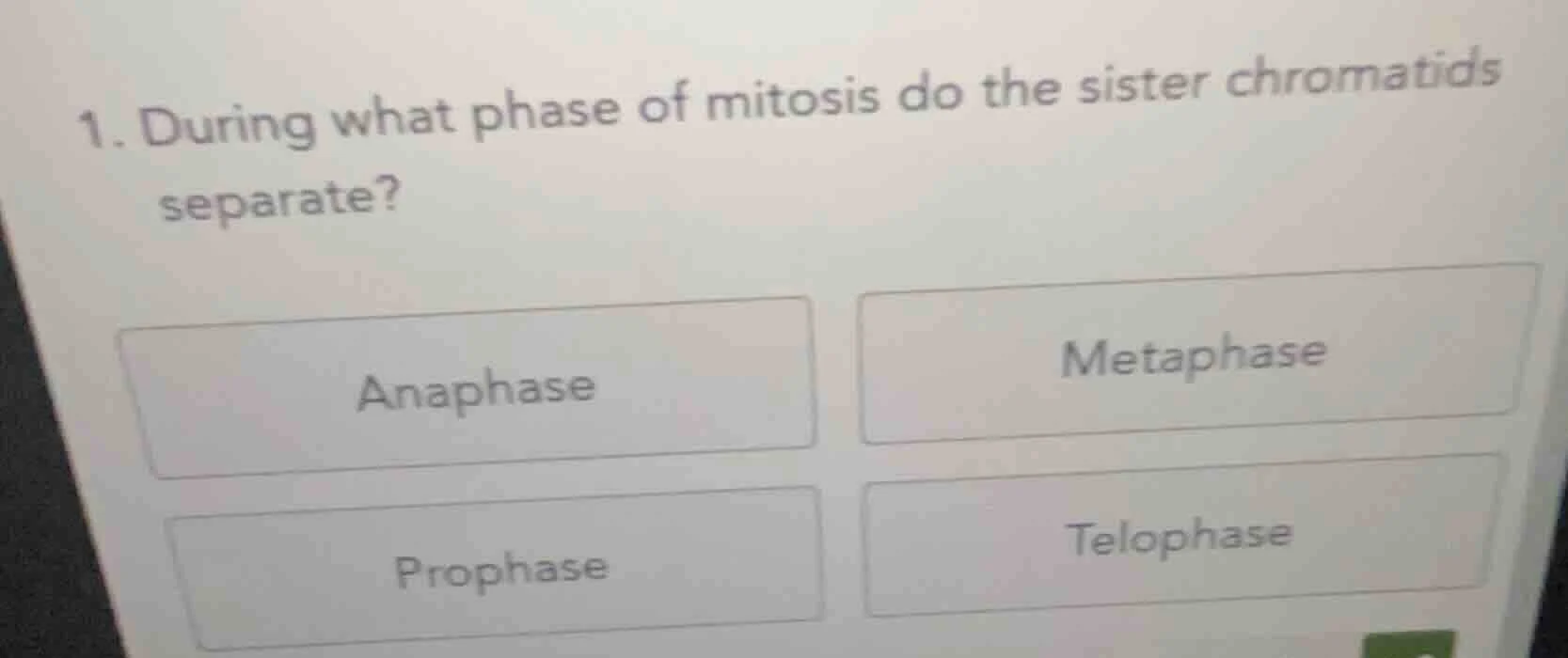 1. during what phase of mitosis do the sister chromatids separate? anap…