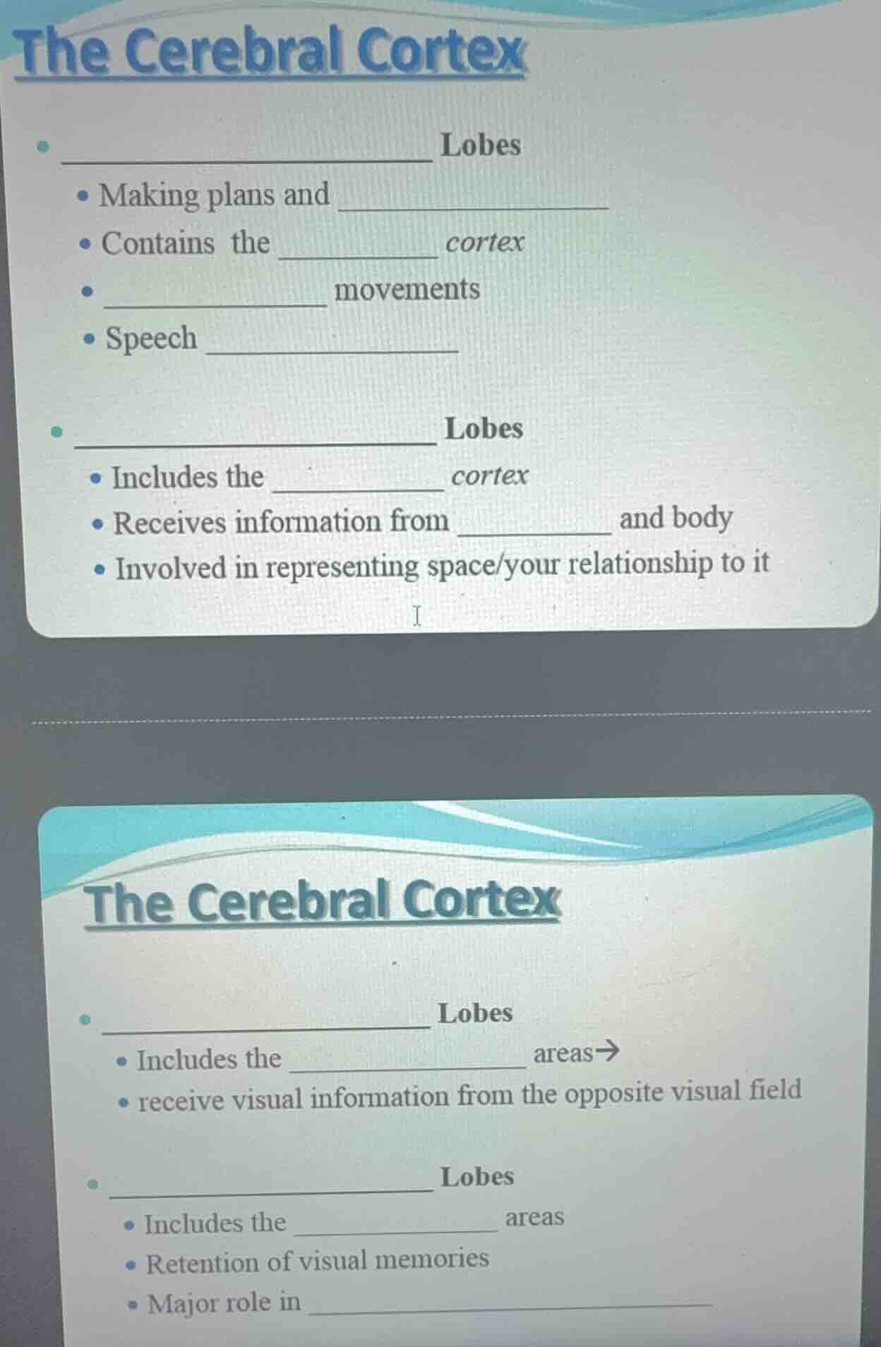 the cerebral cortex • ___________________ lobes • making plans and ____…