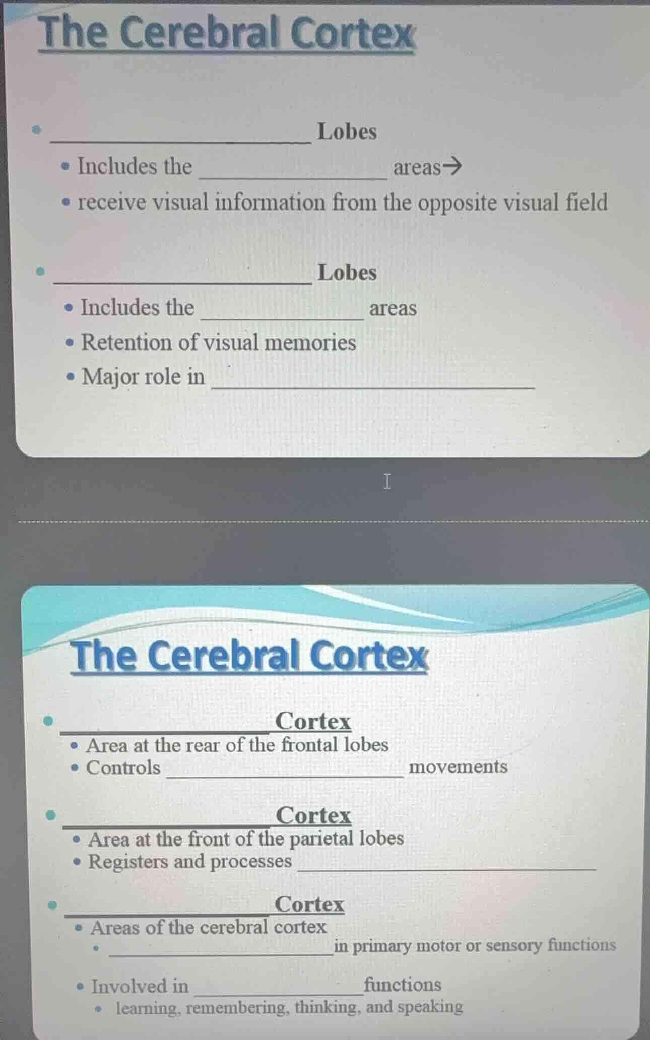 the cerebral cortex __________ lobes - includes the __________ areas→ -…