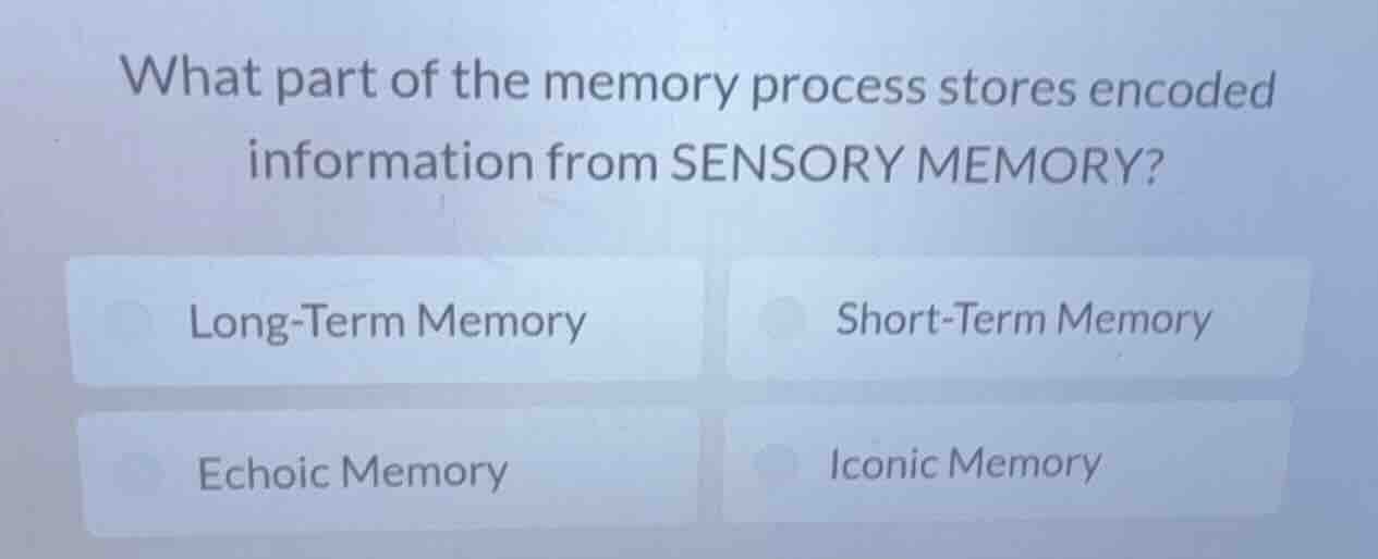 what part of the memory process stores encoded information from sensory…