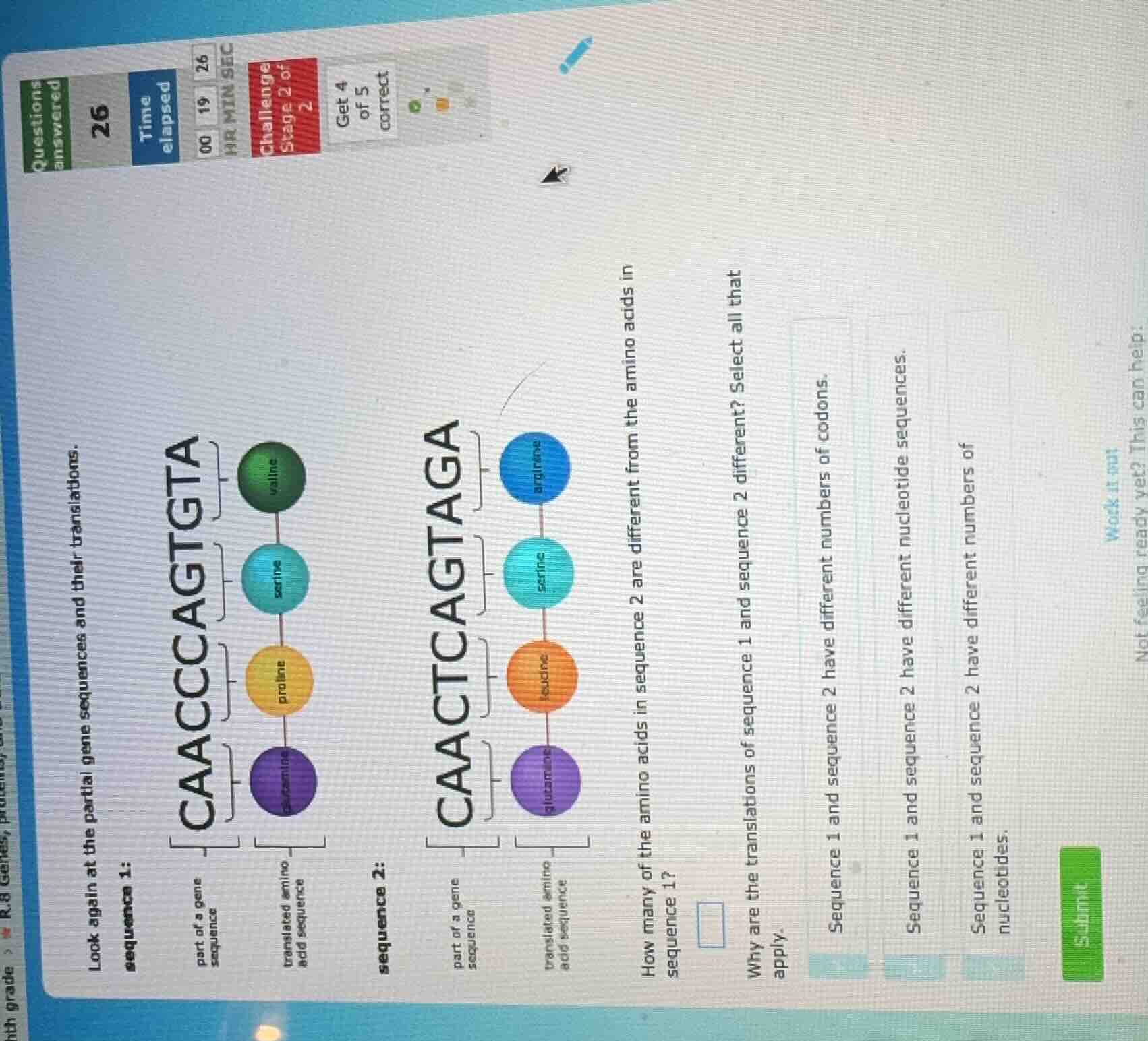 look again at the partial gene sequences and their translations. sequen…