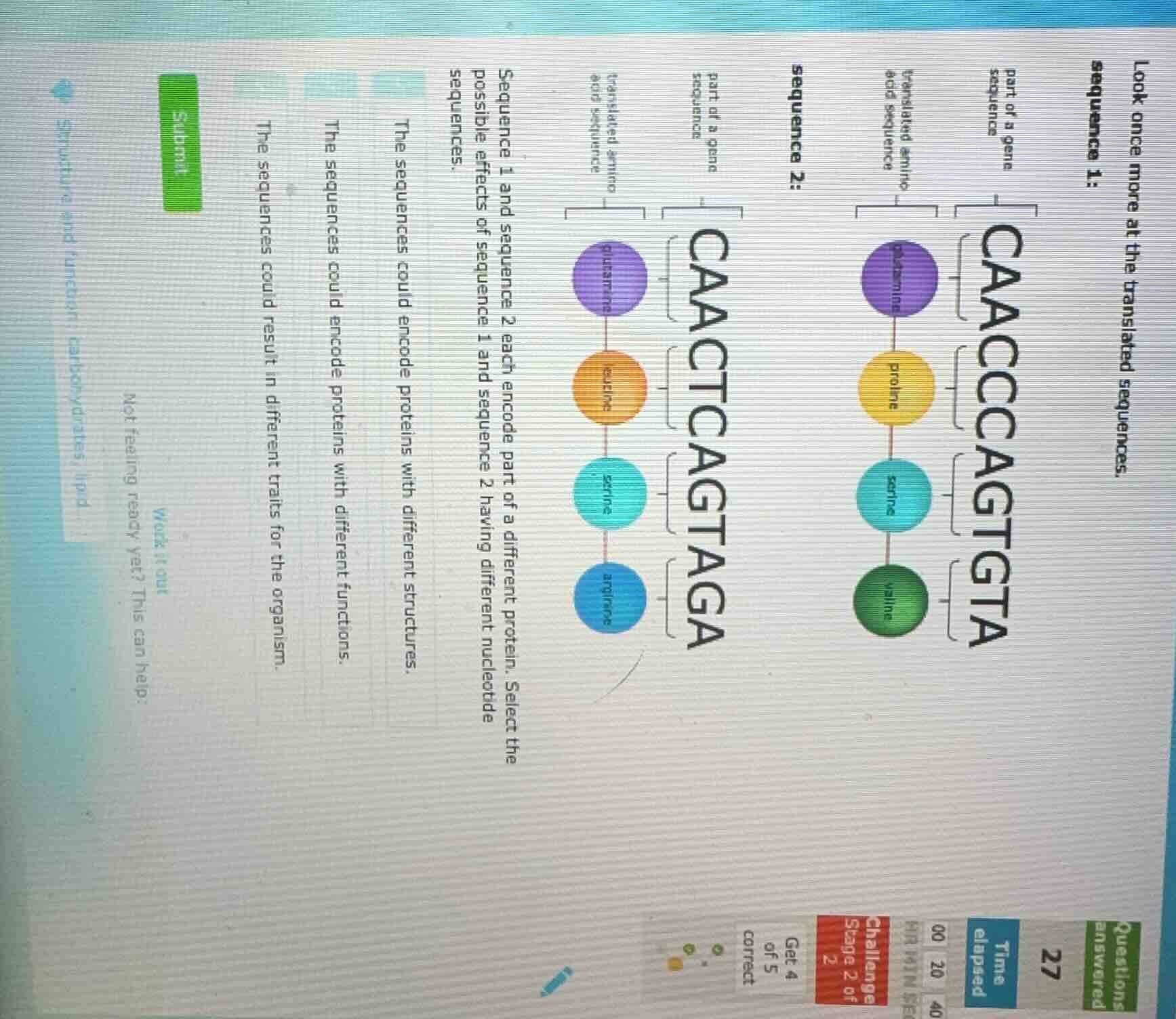 look once more at the translated sequences. sequence 1: part of a gene …