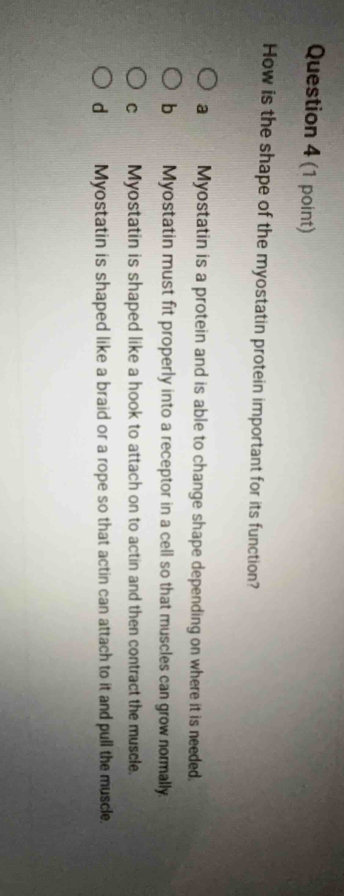 question 4 (1 point) how is the shape of the myostatin protein importan…