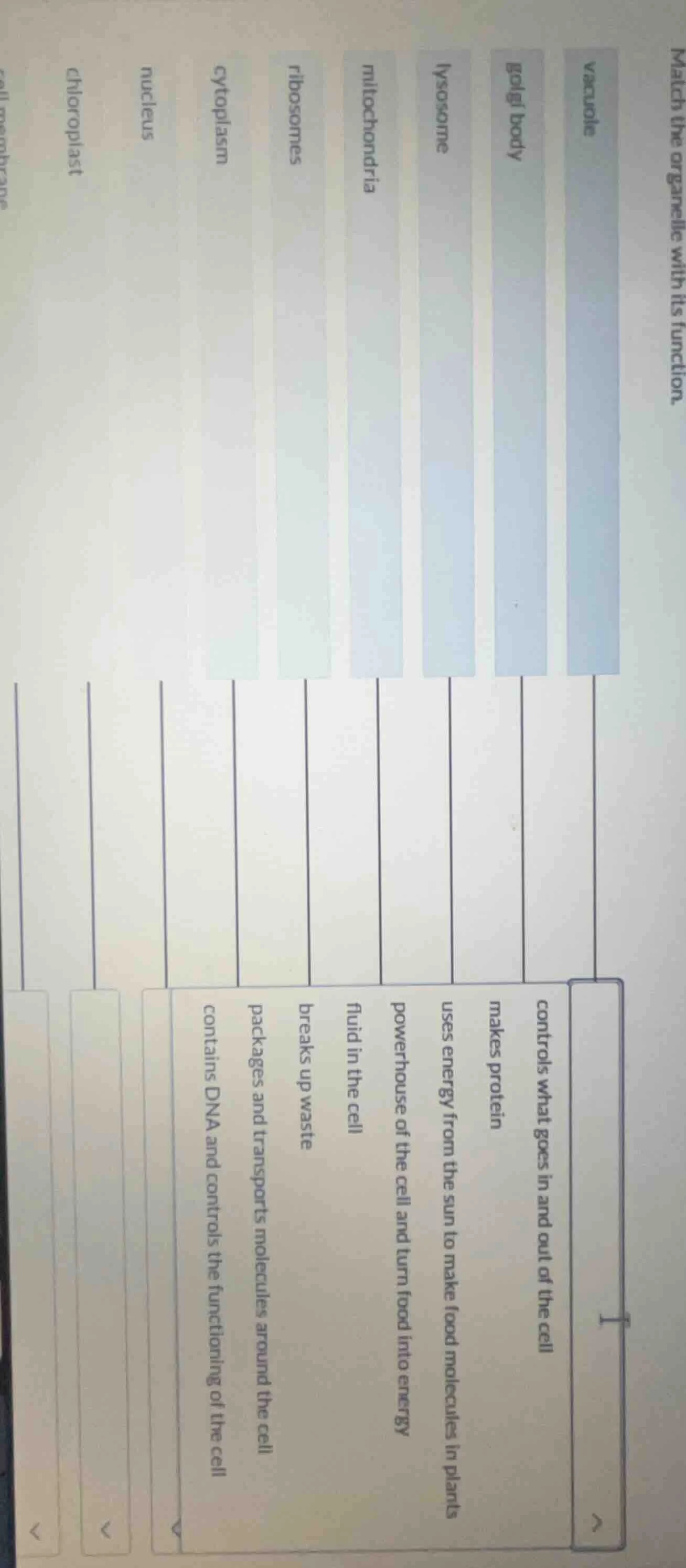 match the organelle with its function. vacuole golgi body lysosome mito…