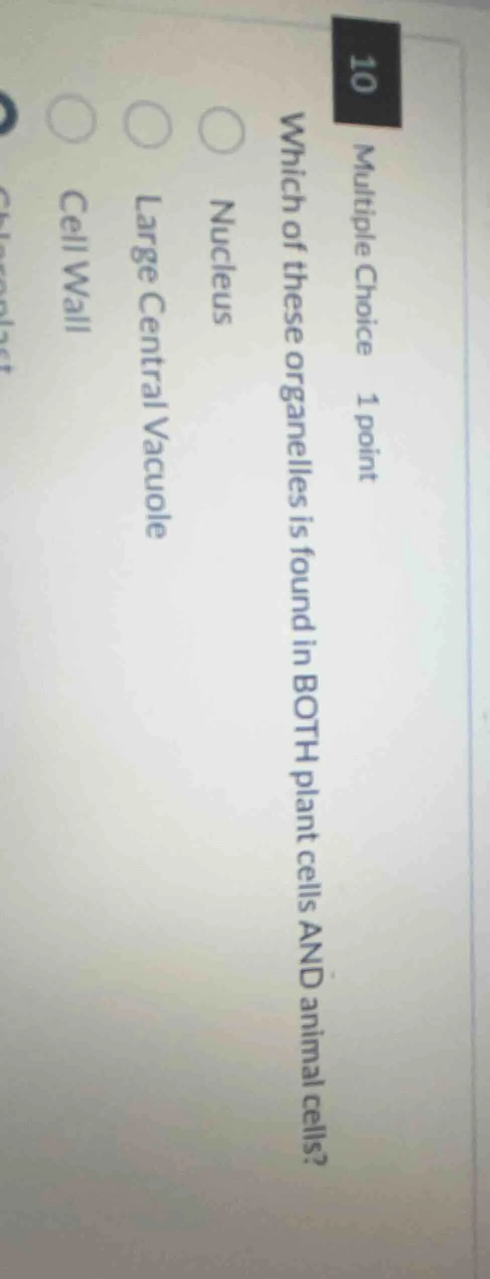 10 multiple choice 1 point which of these organelles is found in both p…