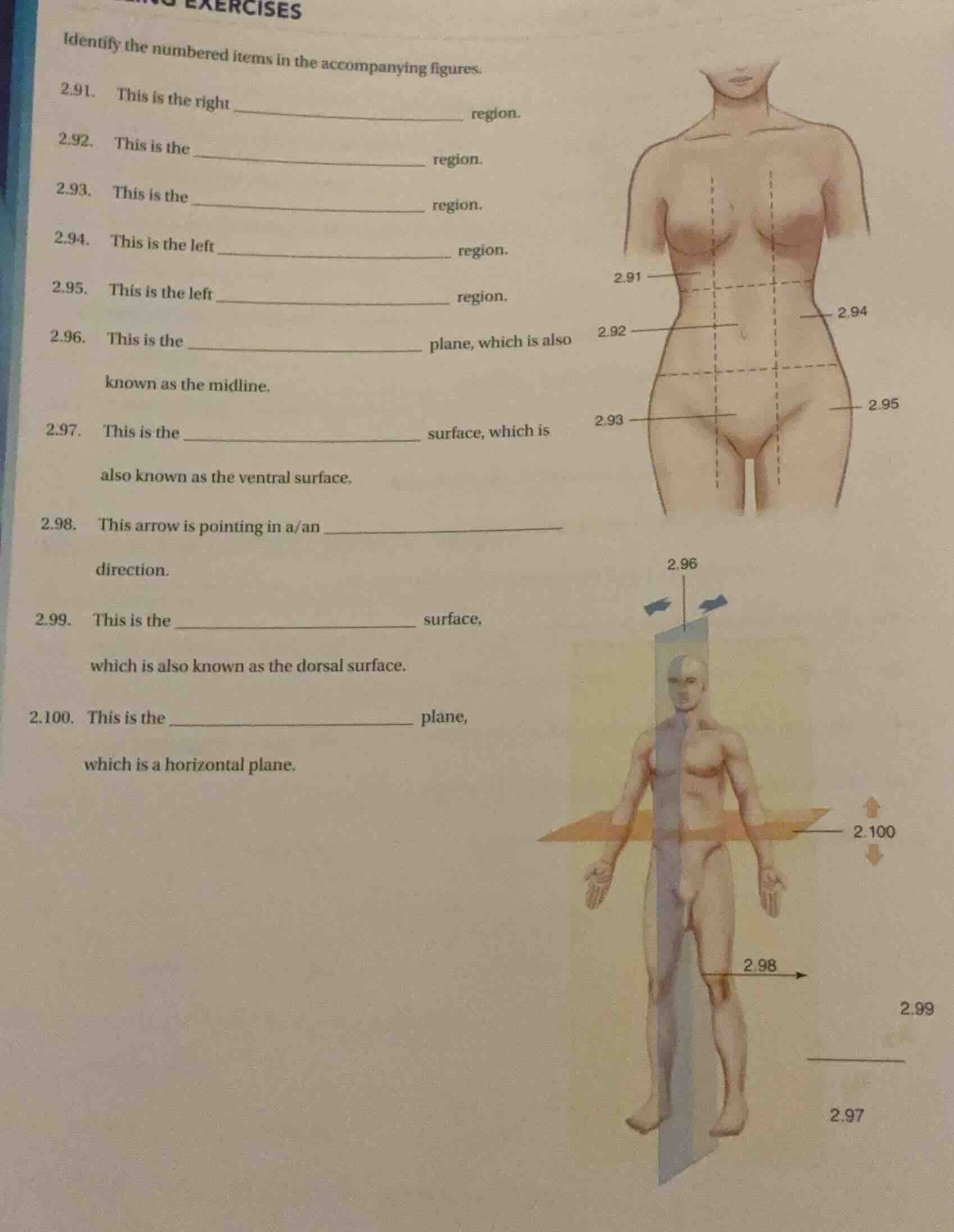 exercises identify the numbered items in the accompanying figures. 2.91…