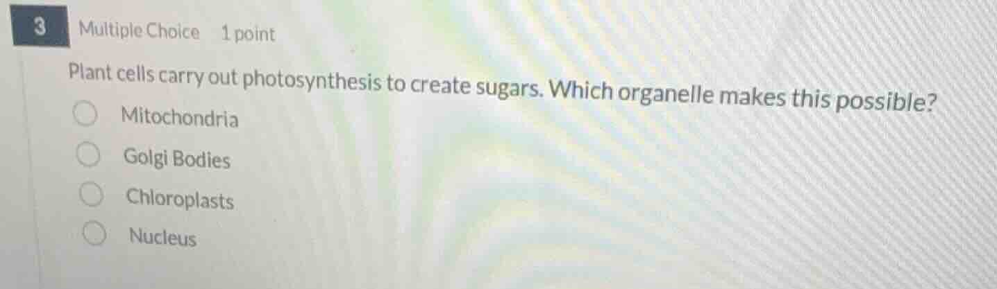 3 multiple choice 1 point plant cells carry out photosynthesis to creat…