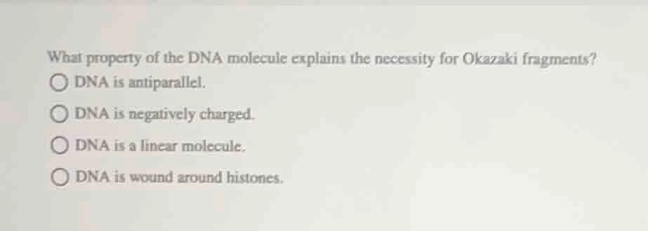 what property of the dna molecule explains the necessity for okazaki fr…