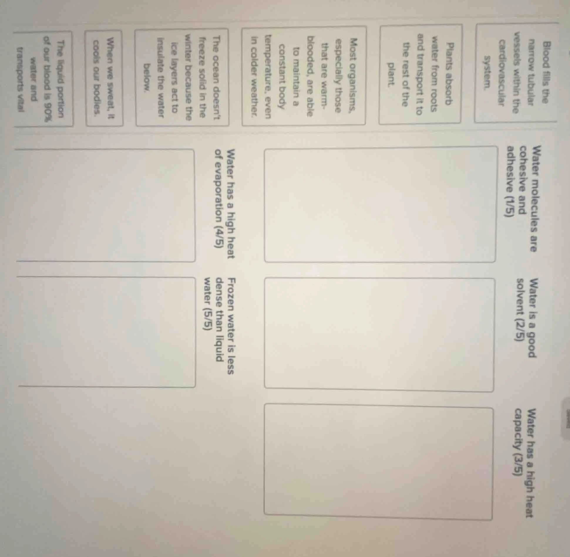 blood fills the narrow tubular vessels within the cardiovascular system…