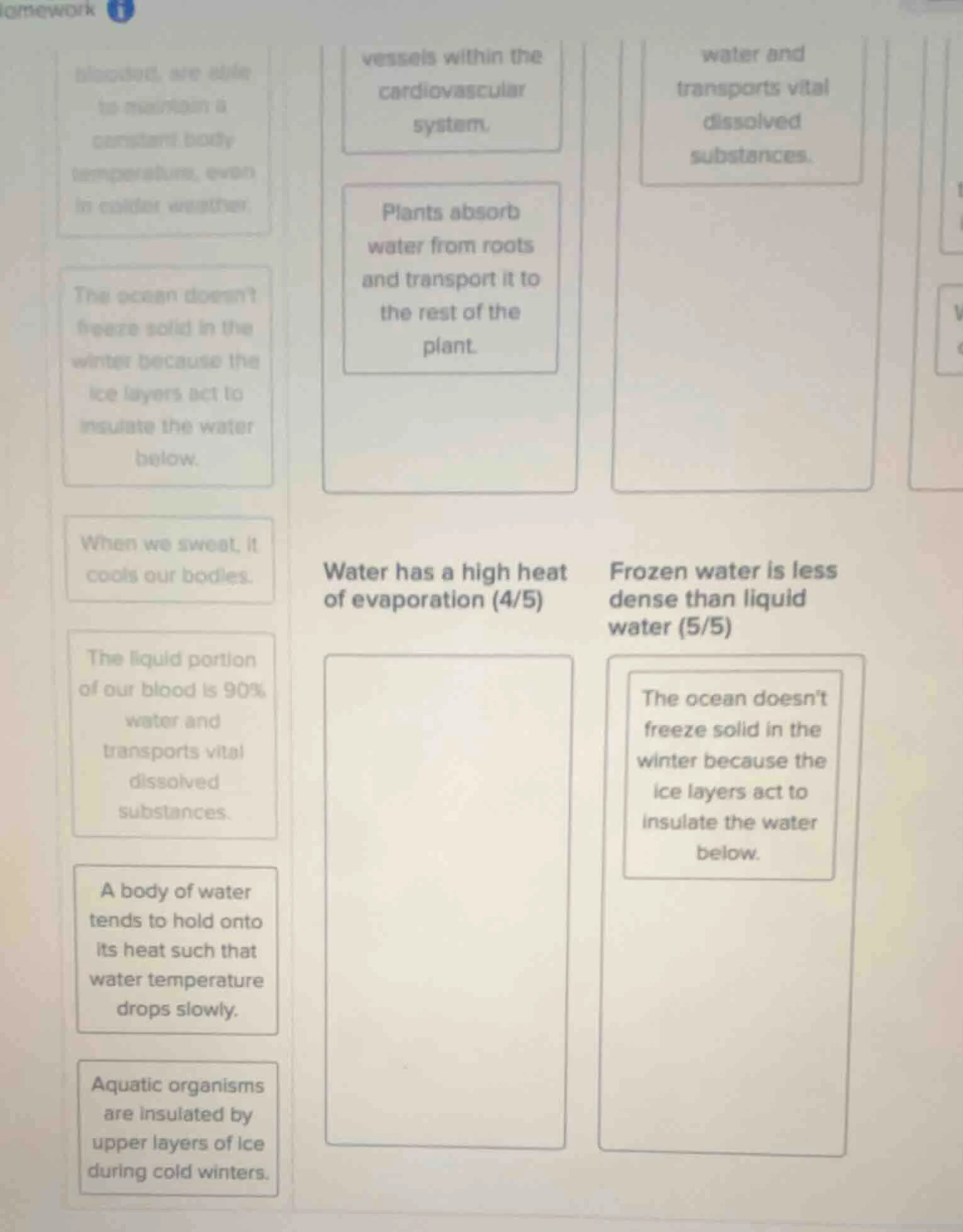 homework vessels within the cardiovascular system, water and transports…