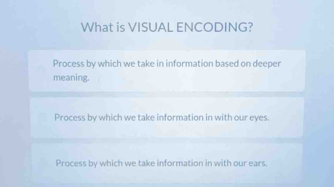 what is visual encoding? process by which we take in information based …