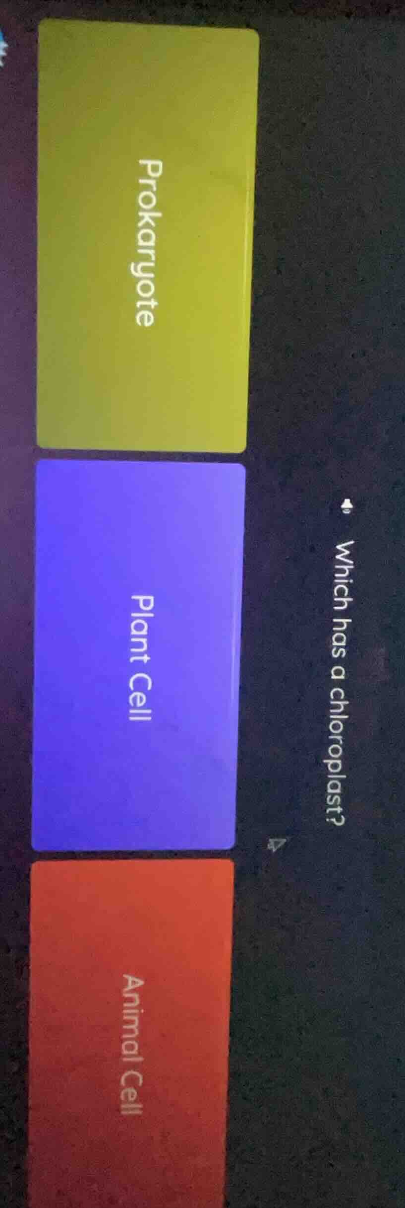 which has a chloroplast? prokaryote plant cell animal cell