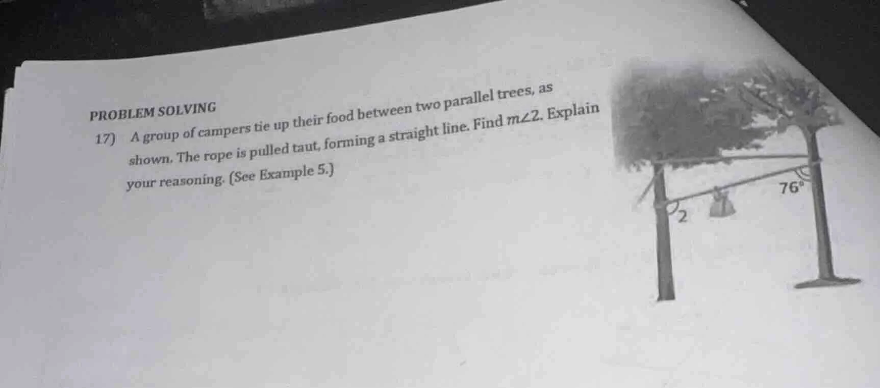 problem solving 17) a group of campers tie up their food between two pa…