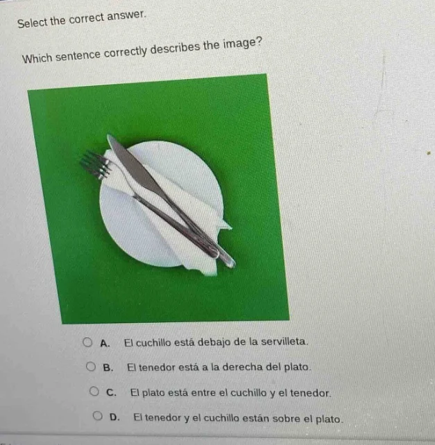 select the correct answer. which sentence correctly describes the image…