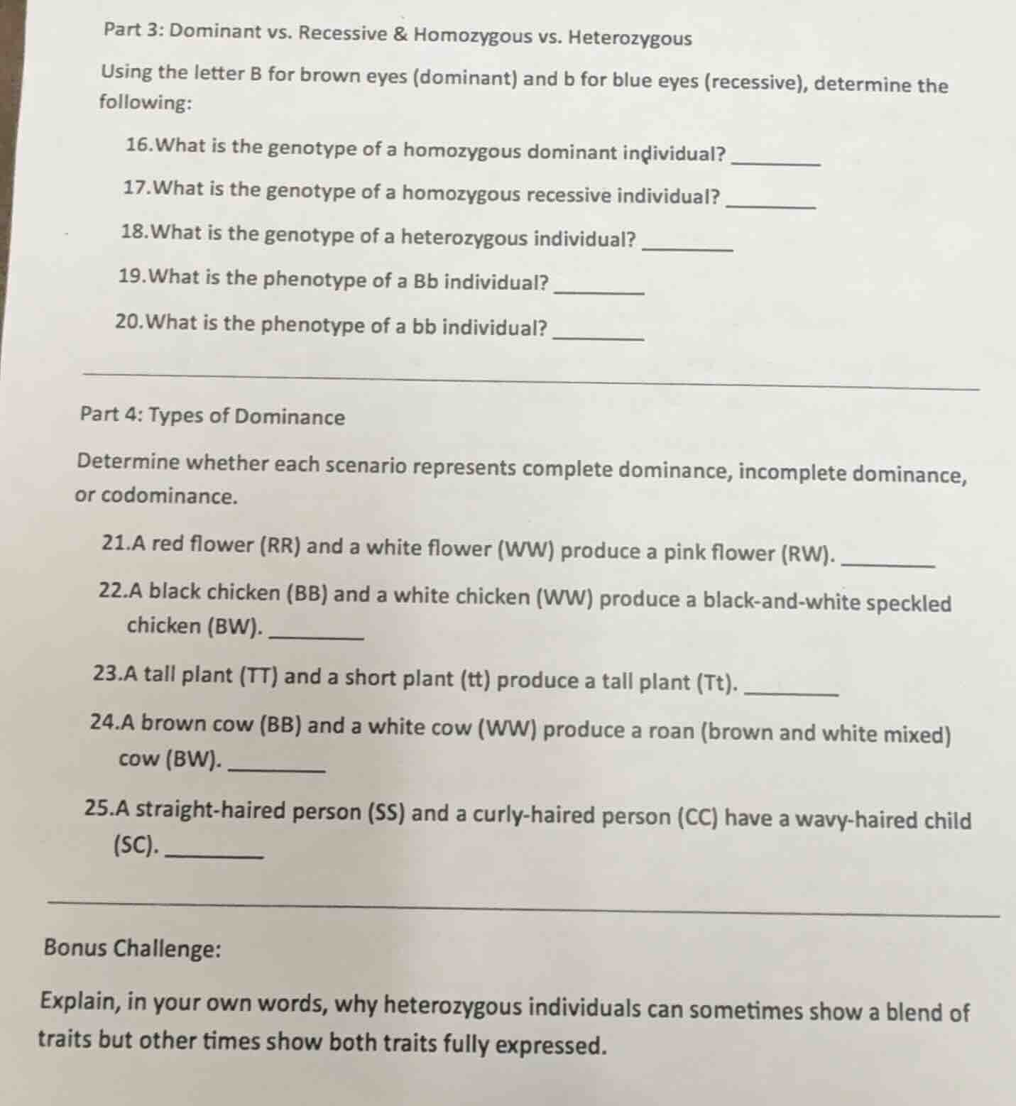 part 3: dominant vs. recessive & homozygous vs. heterozygous using the …