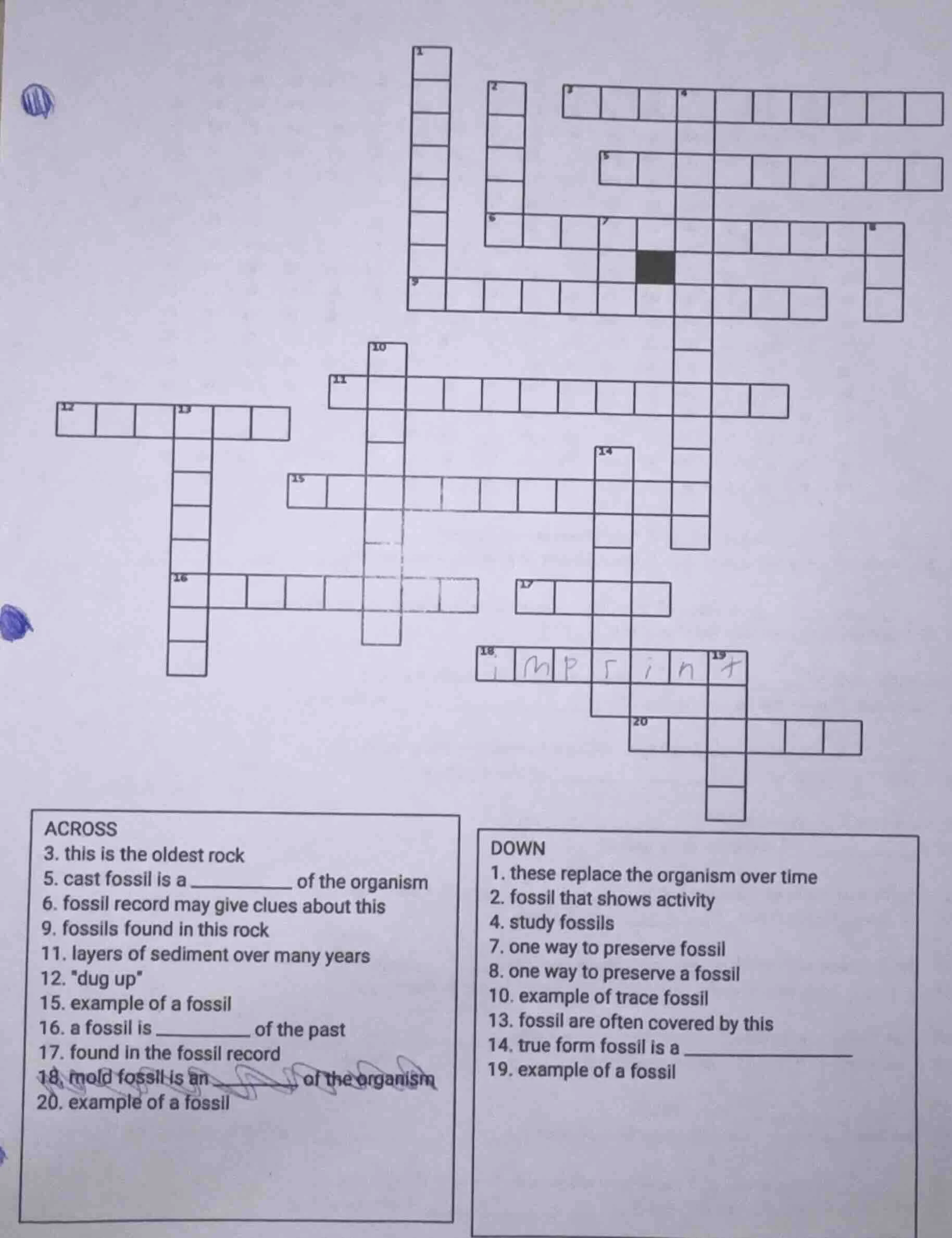 across 3. this is the oldest rock 5. cast fossil is a ________ of the o…