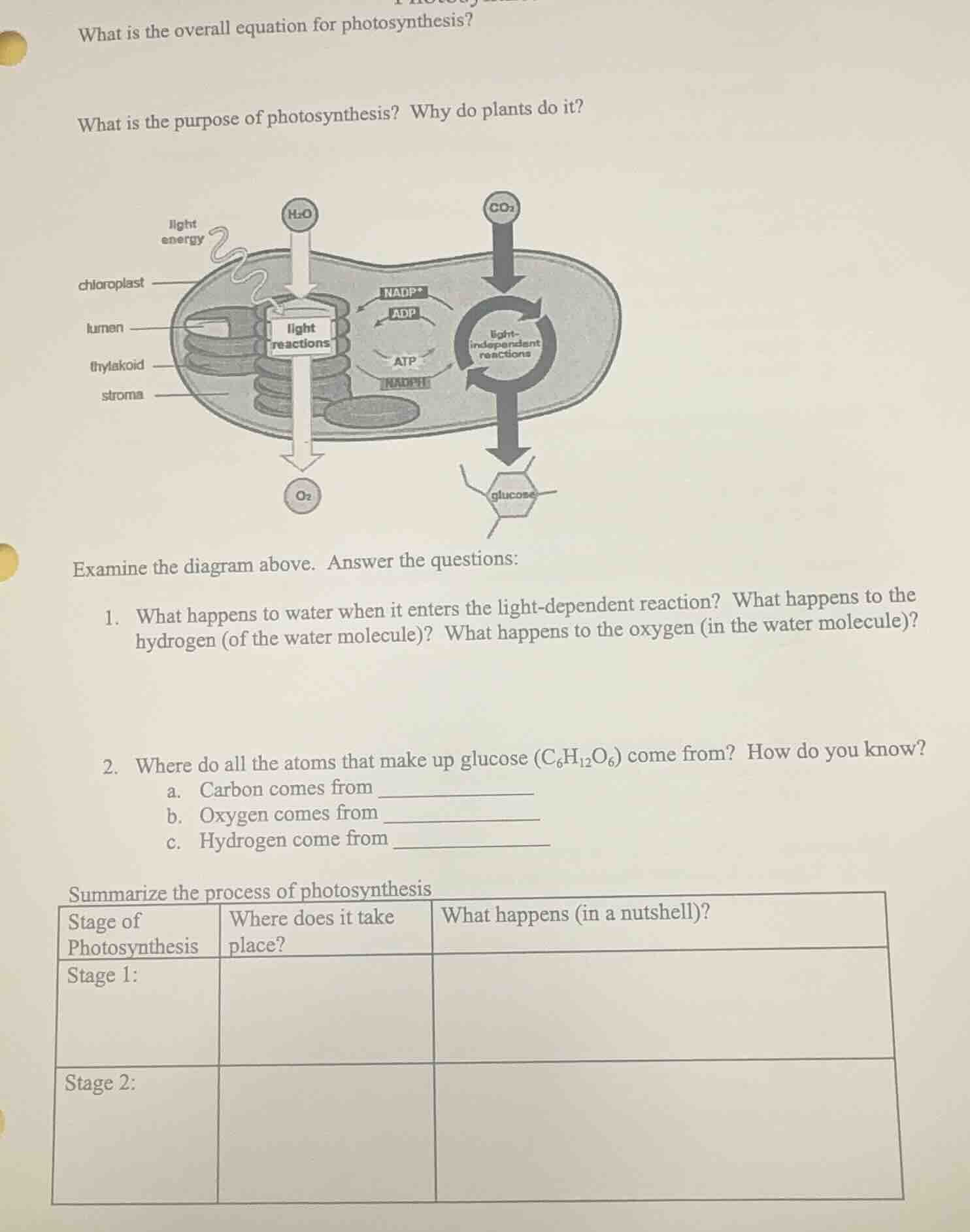 what is the overall equation for photosynthesis? what is the purpose of…