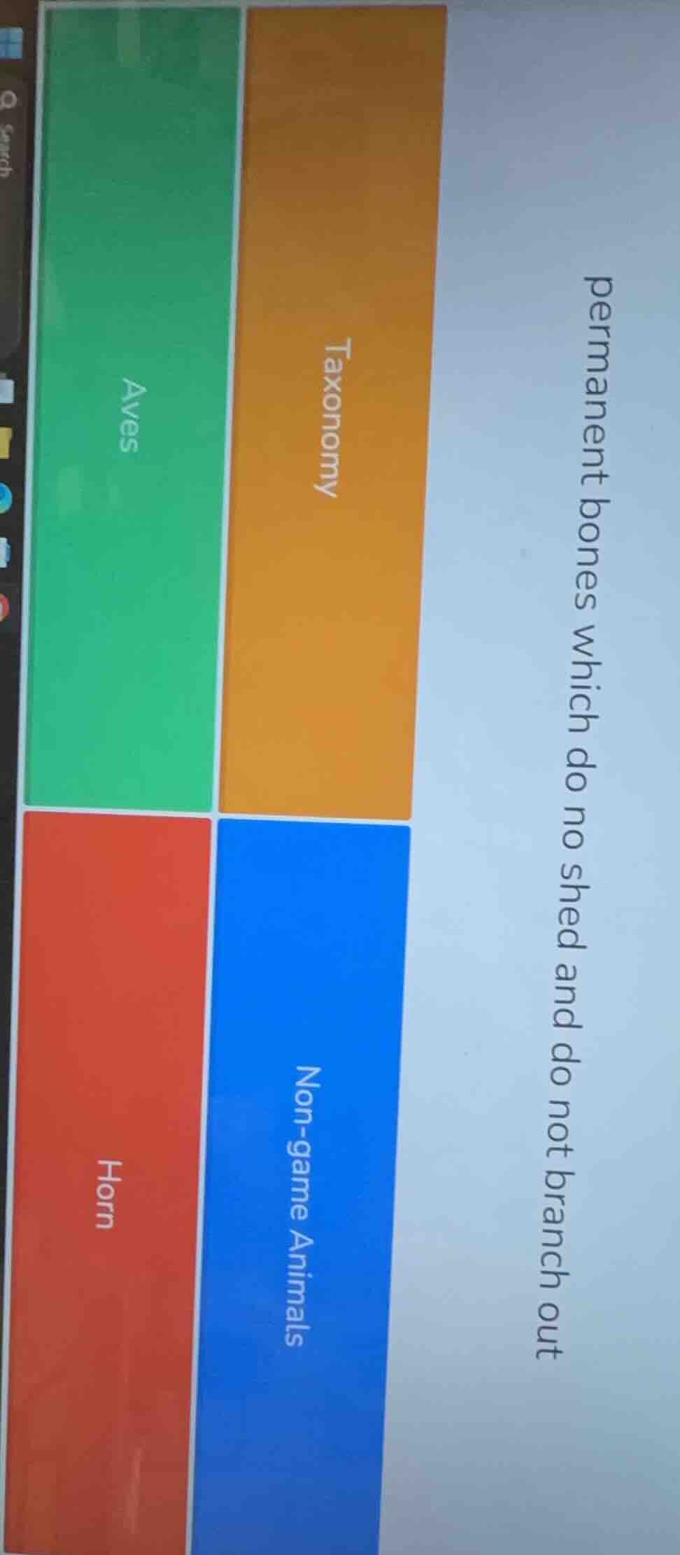 permanent bones which do no shed and do not branch out; taxonomy; aves;…