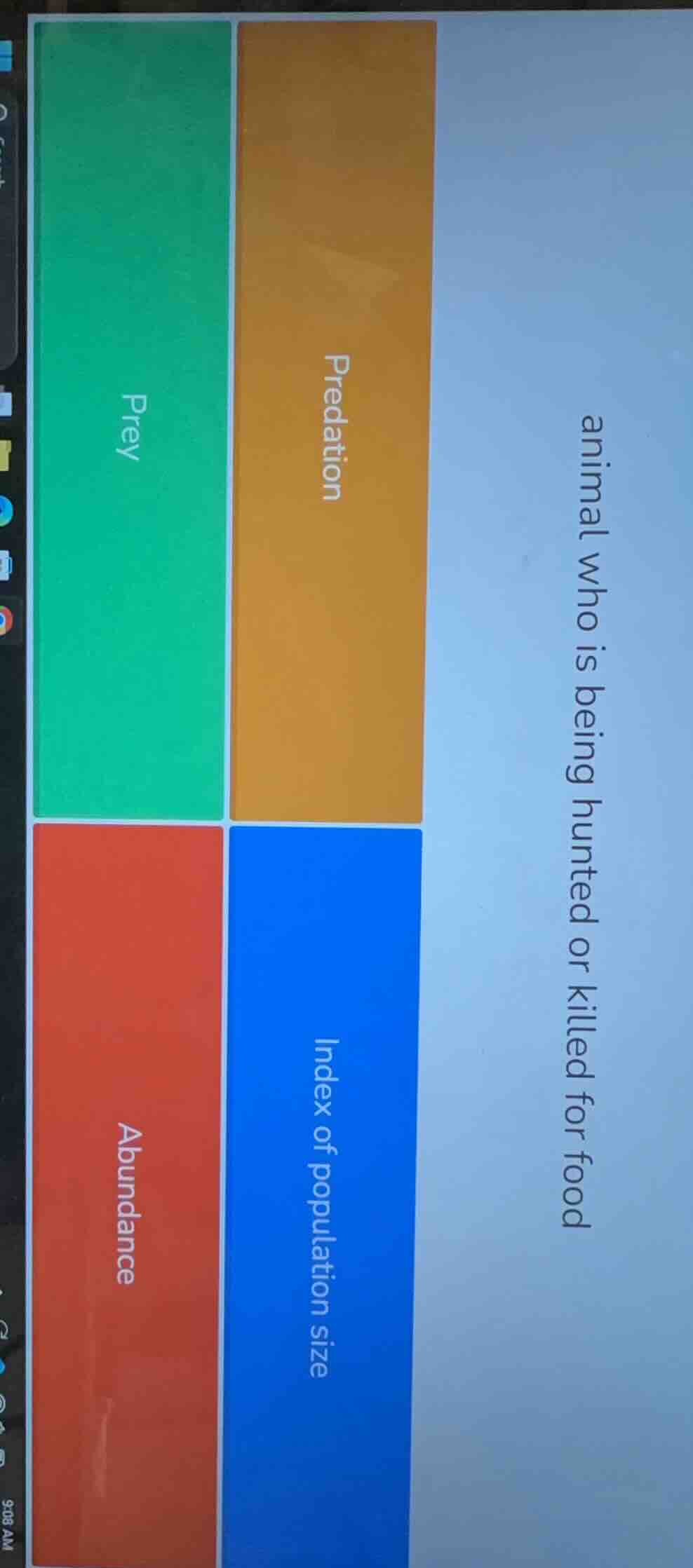 animal who is being hunted or killed for food; predation; prey; index o…