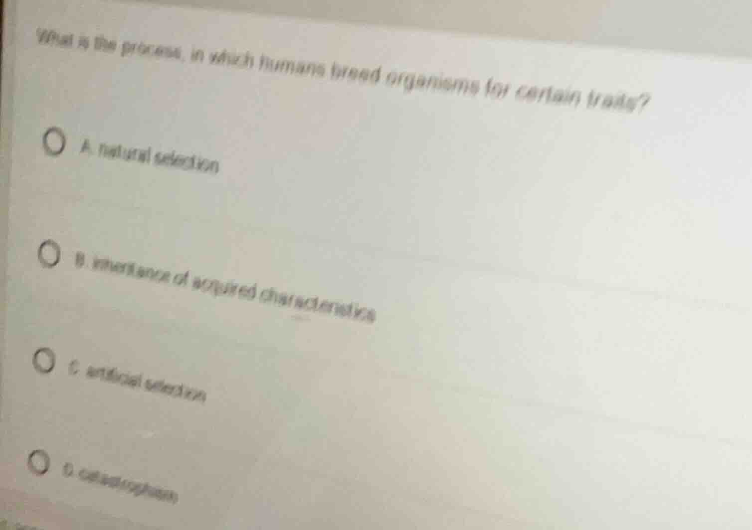 what is the process, in which humans breed organisms for certain traits…