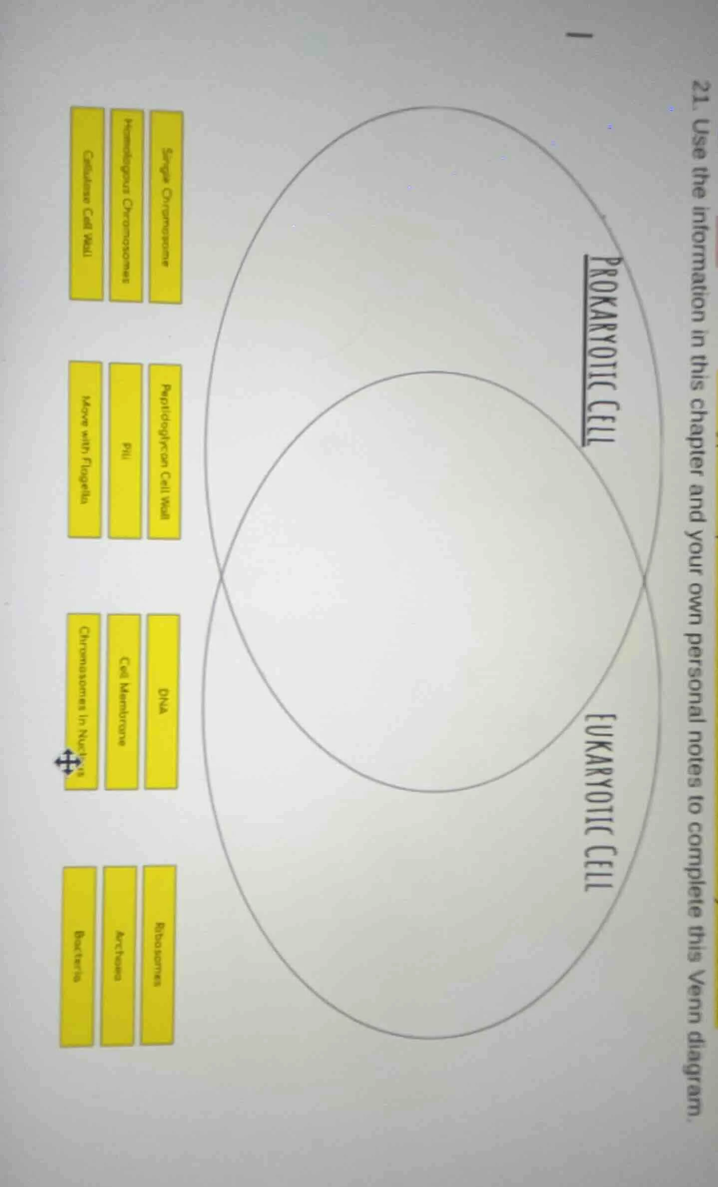21. use the information in this chapter and your own personal notes to …