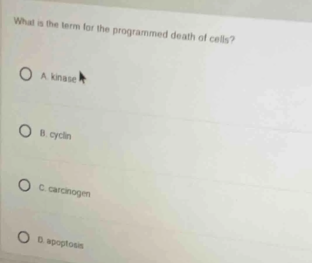 what is the term for the programmed death of cells? a. kinase b. cyclin…