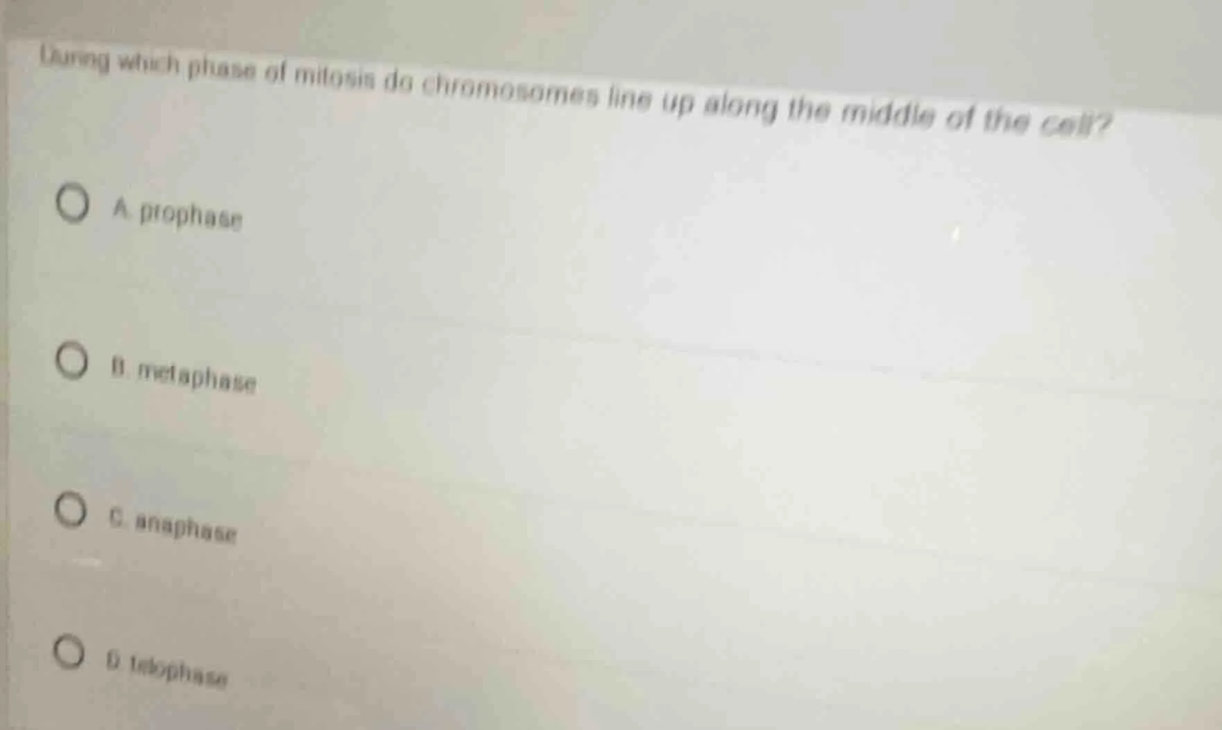 during which phase of mitosis do chromosomes line up along the middle o…