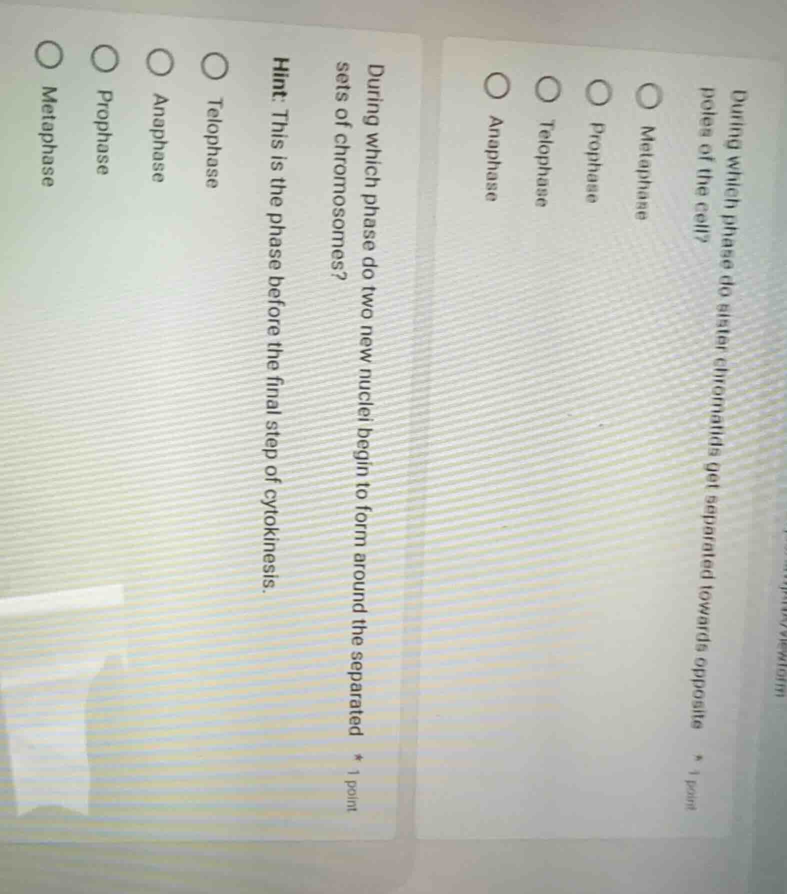 during which phase do sister chromatids get separated towards opposite …