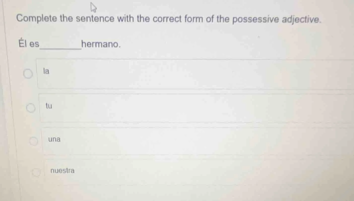 complete the sentence with the correct form of the possessive adjective…