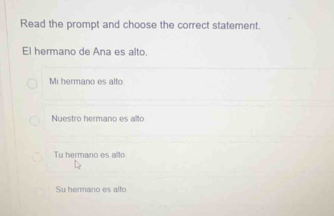 read the prompt and choose the correct statement. el hermano de ana es …