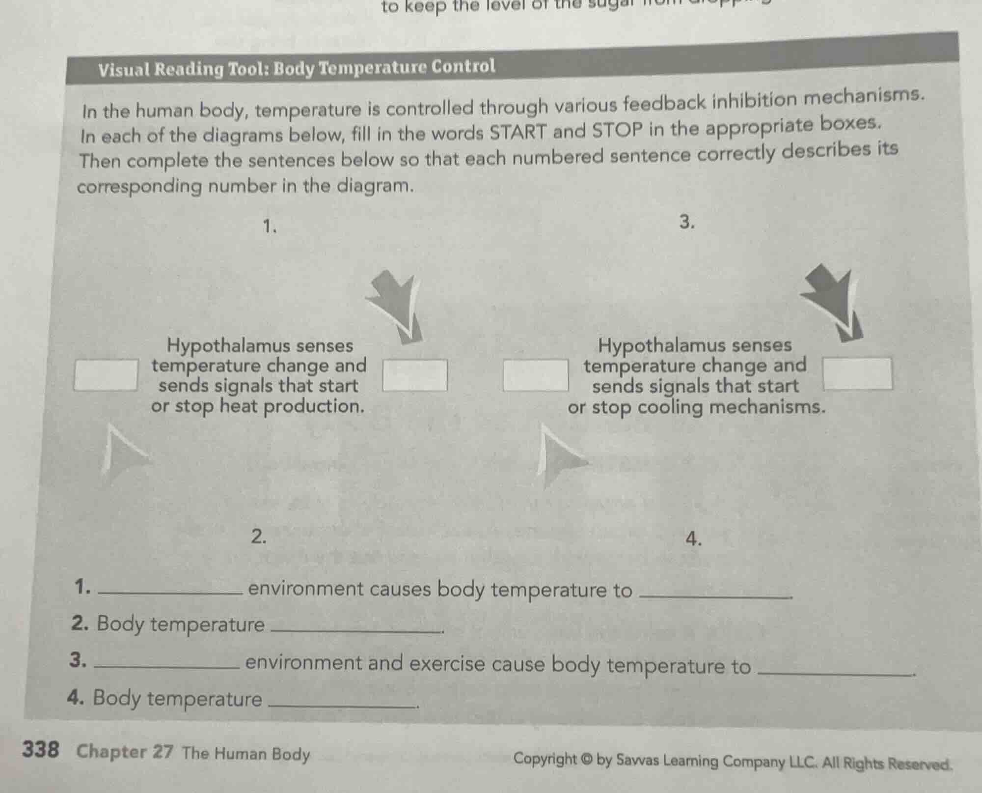 visual reading tool: body temperature control in the human body, temper…