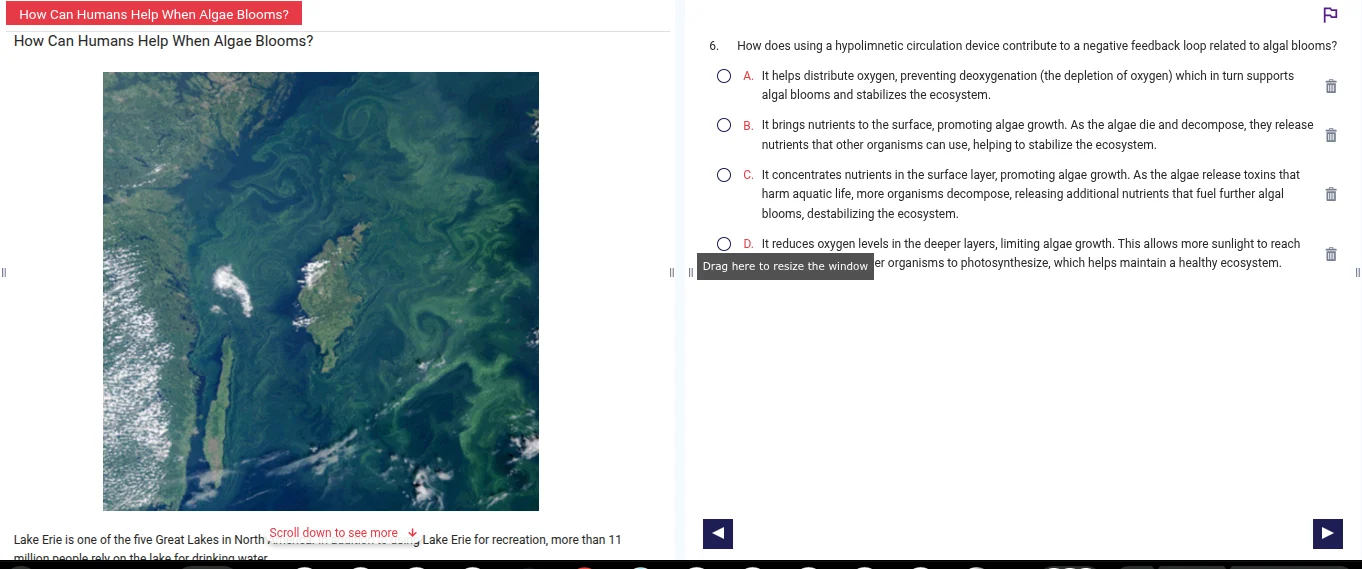 how can humans help when algae blooms? how can humans help when algae b…