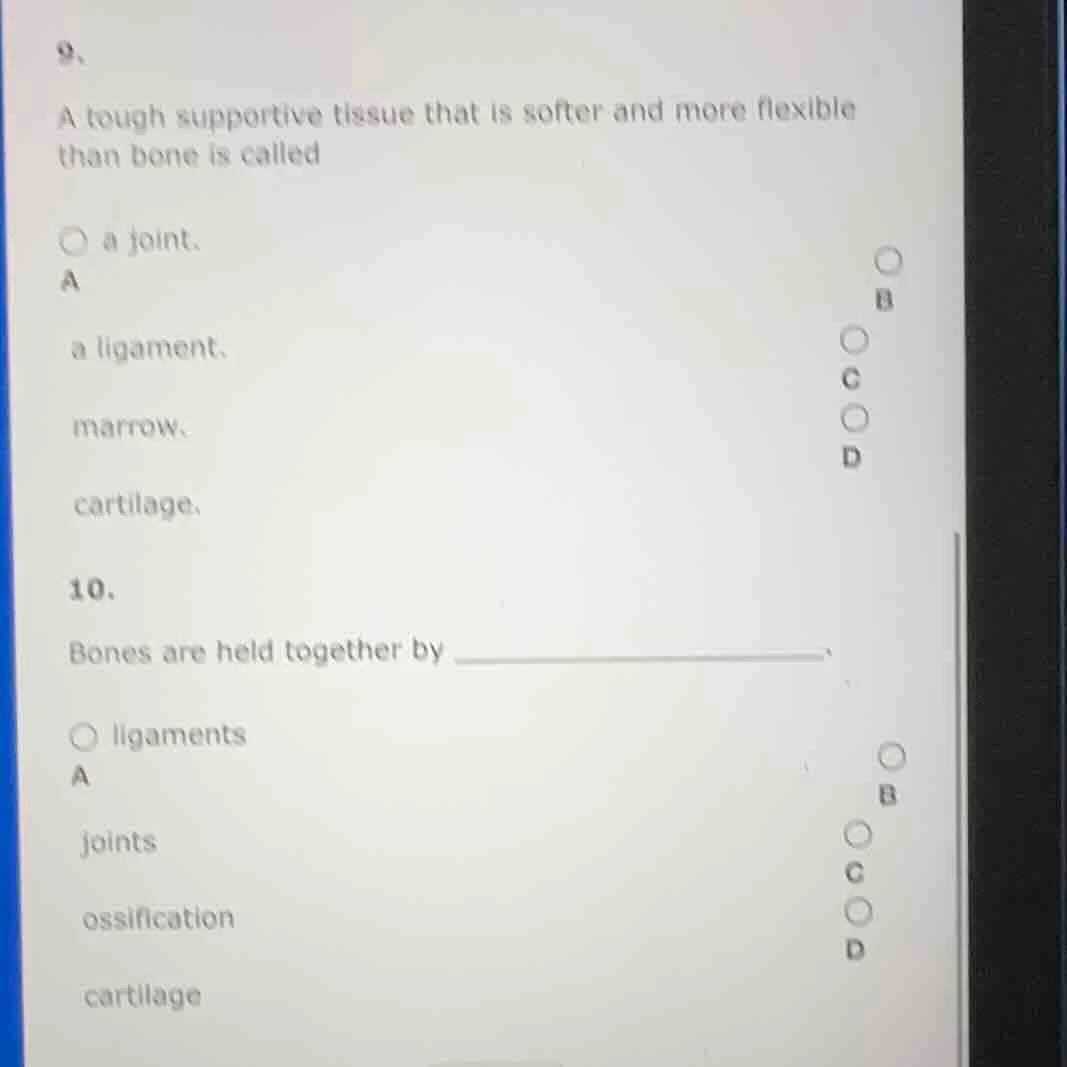 9、 a tough supportive tissue that is softer and more flexible than bone…