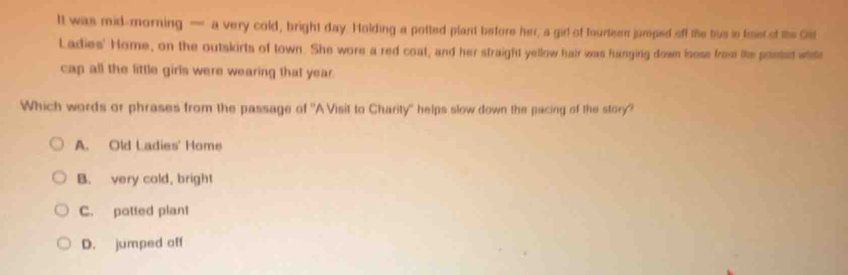 it was mid - morning — a very cold, bright day. holding a potted plant …