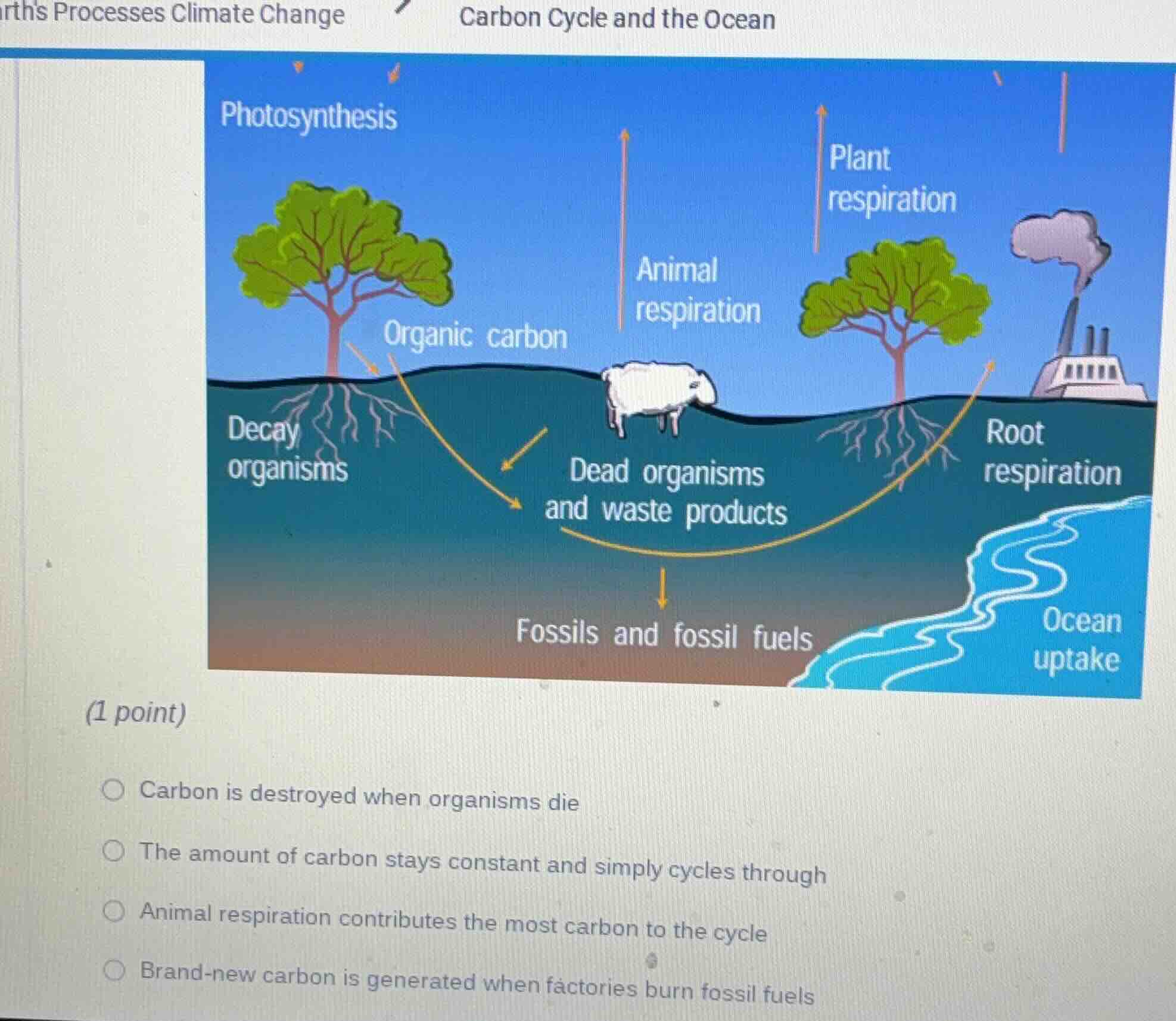 rths processes climate change carbon cycle and the ocean (1 point) carb…