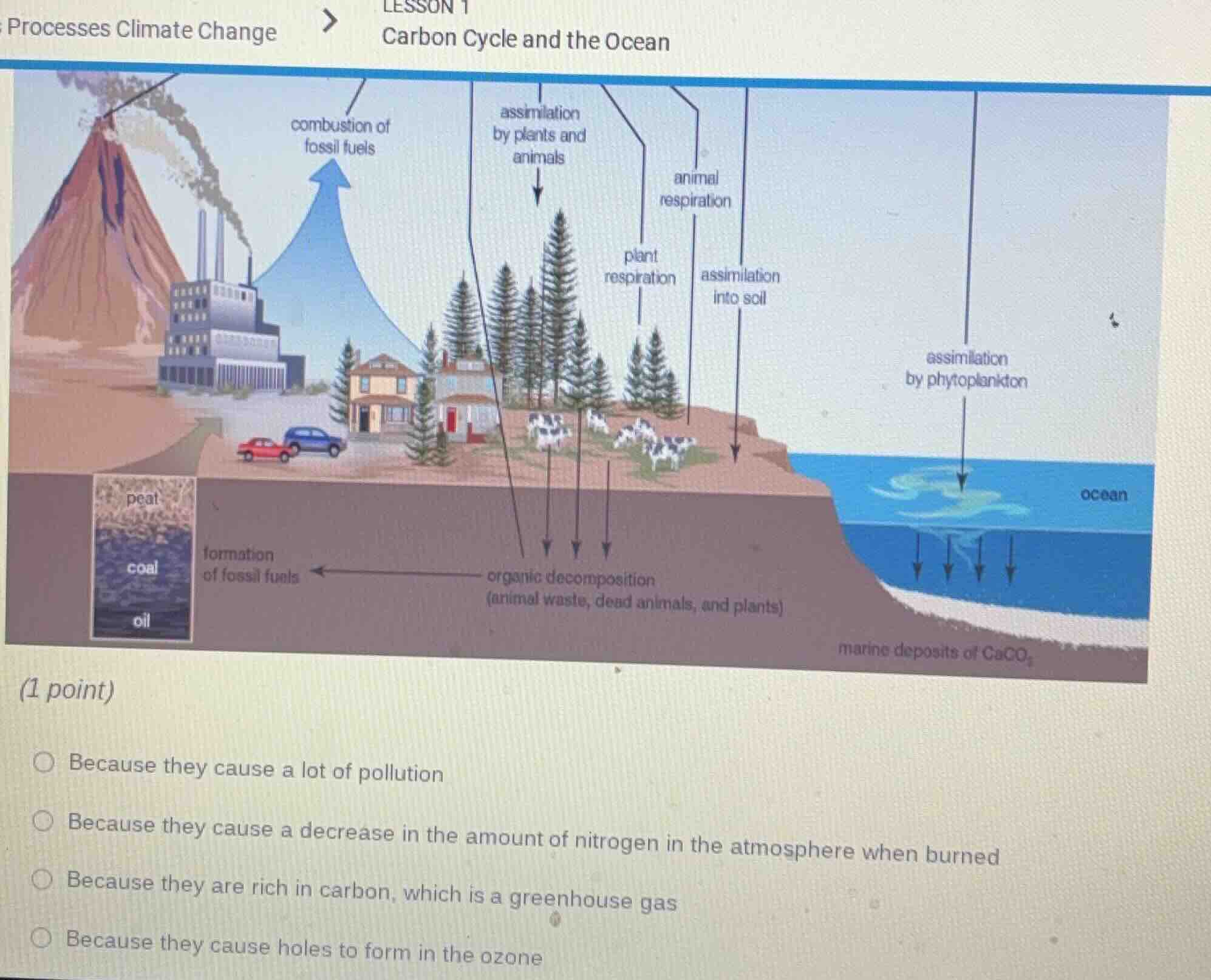 lesson 1 carbon cycle and the ocean (1 point) ○ because they cause a lo…