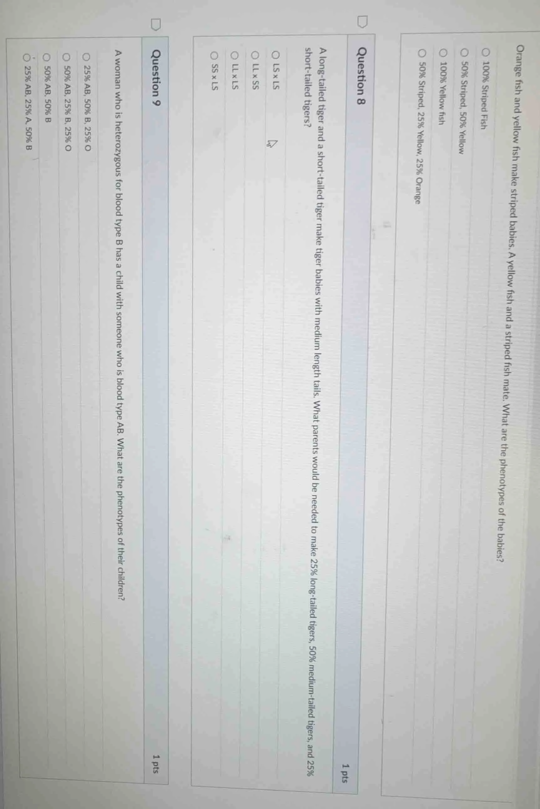 orange fish and yellow fish make striped babies. a yellow fish and a st…