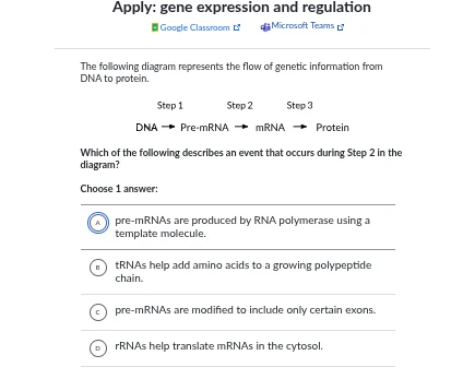 apply: gene expression and regulation google classroom microsoft teams …