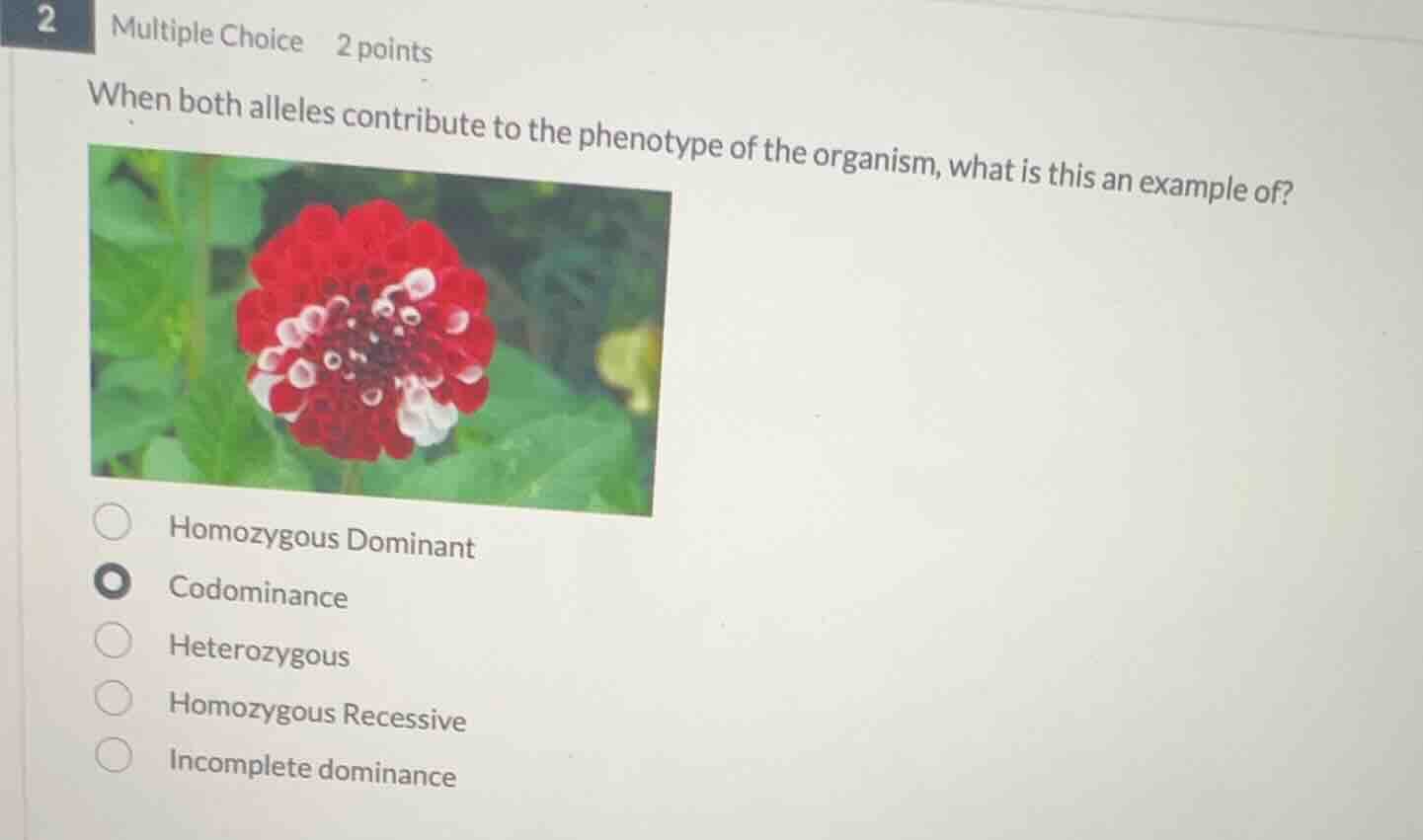 2 multiple choice 2 points when both alleles contribute to the phenotyp…