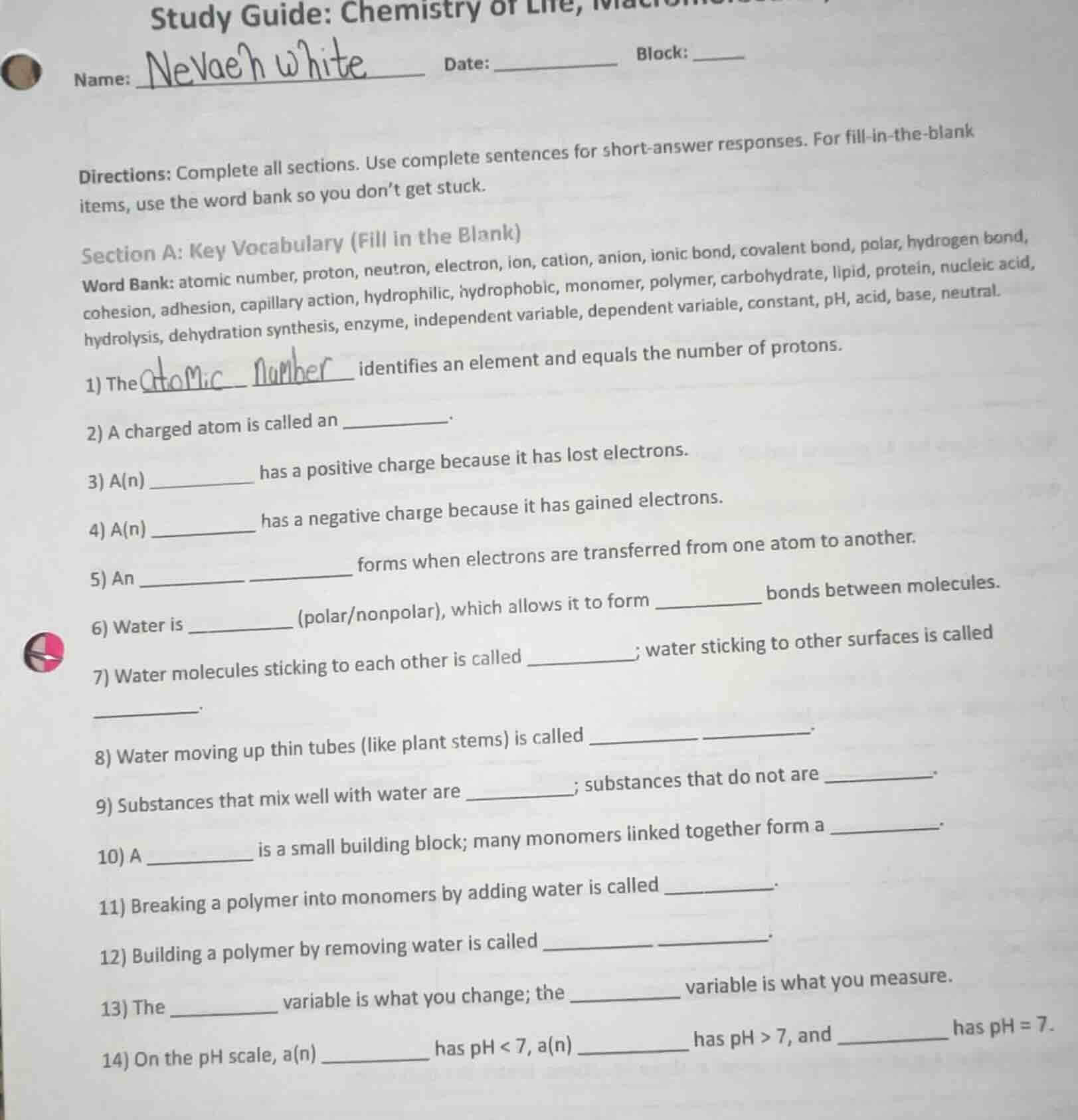 study guide: chemistry of life, name: nevaeh white date: _______ block:…