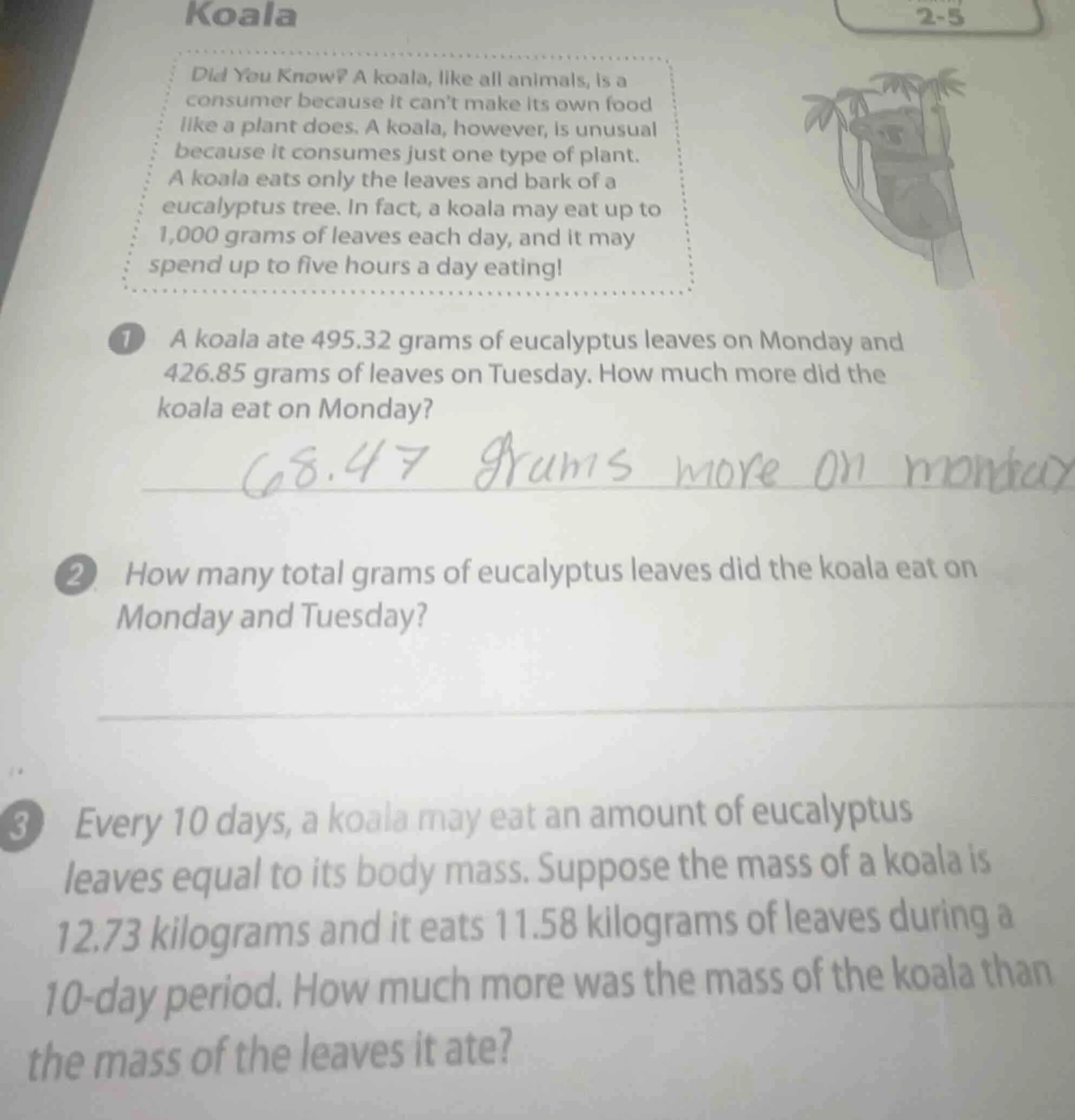 koala did you know? a koala, like all animals, is a consumer because it…