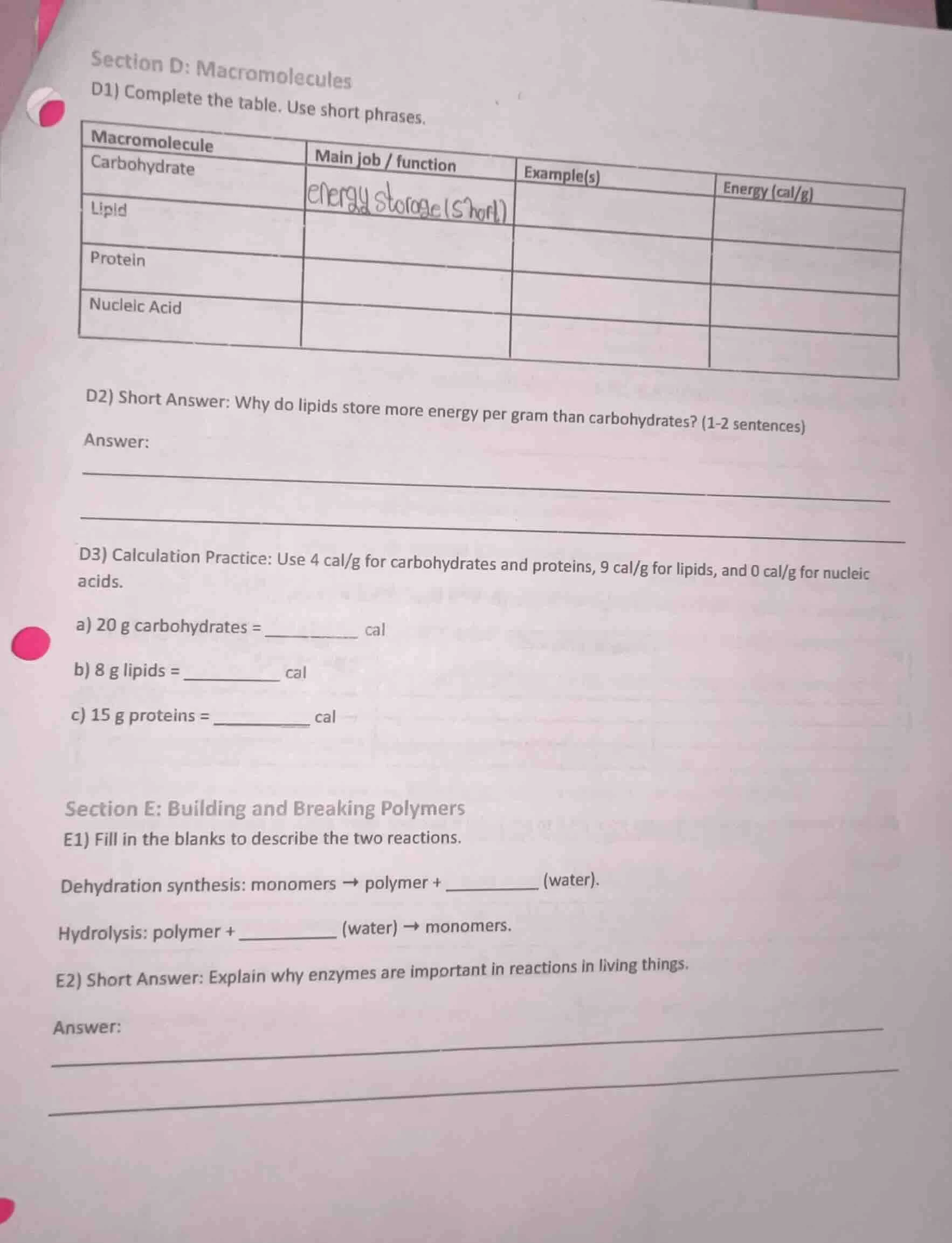 section d: macromolecules d1) complete the table. use short phrases. ma…