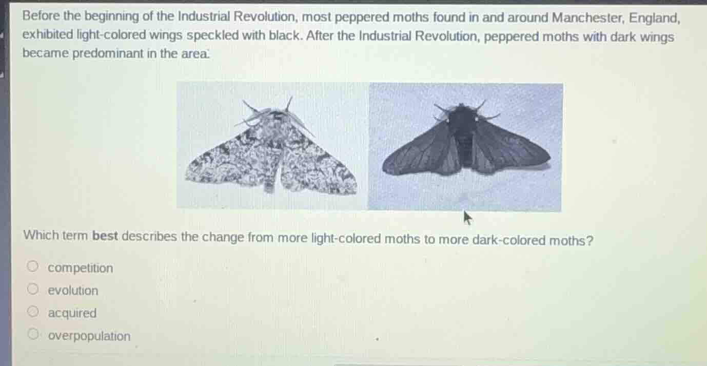 before the beginning of the industrial revolution, most peppered moths …