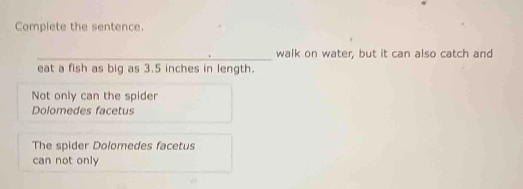 complete the sentence. ________ walk on water, but it can also catch an…