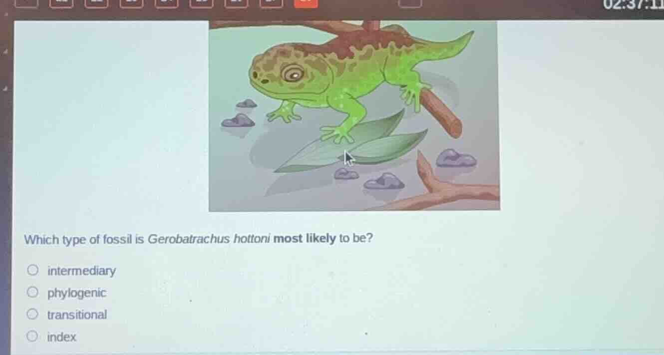 which type of fossil is gerobatrachus hottoni most likely to be? interm…