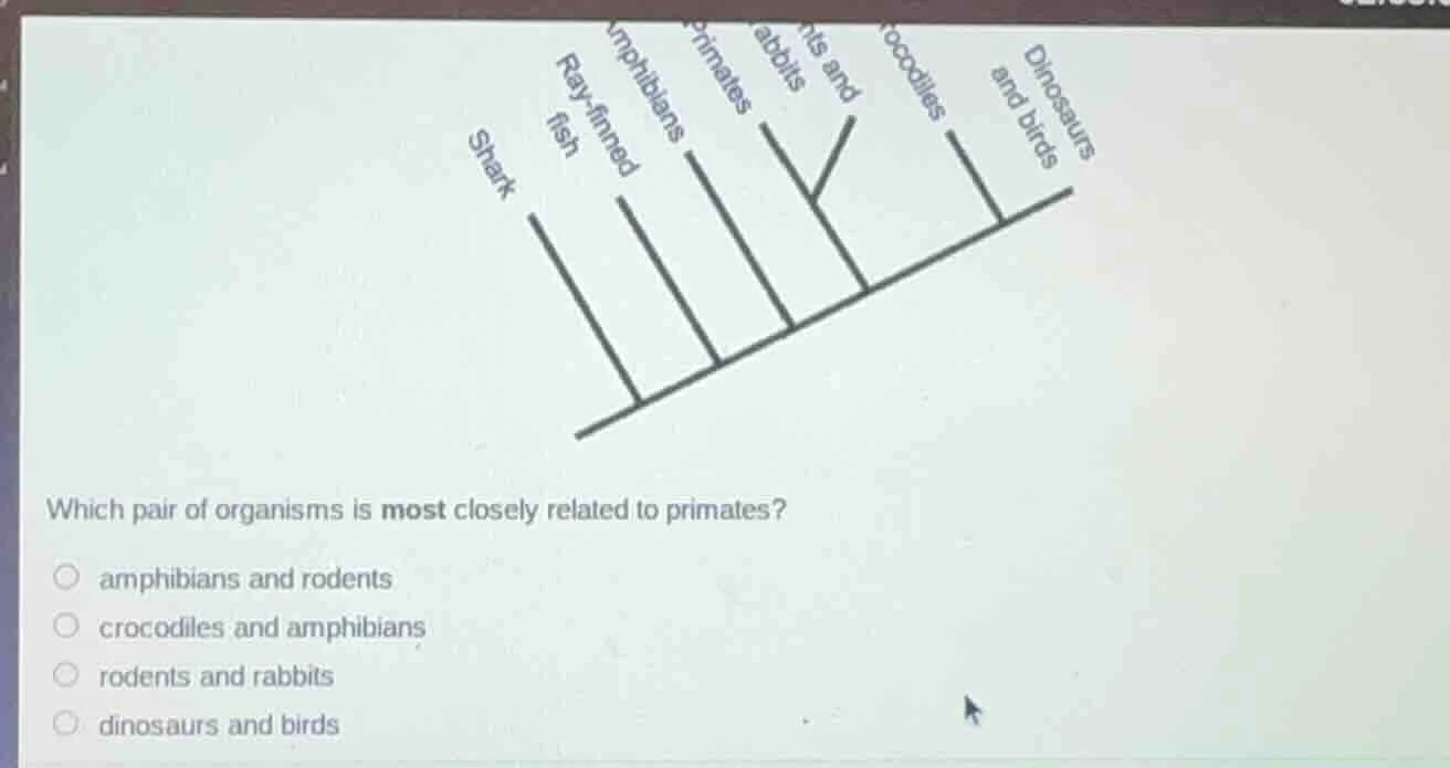 which pair of organisms is most closely related to primates? amphibians…