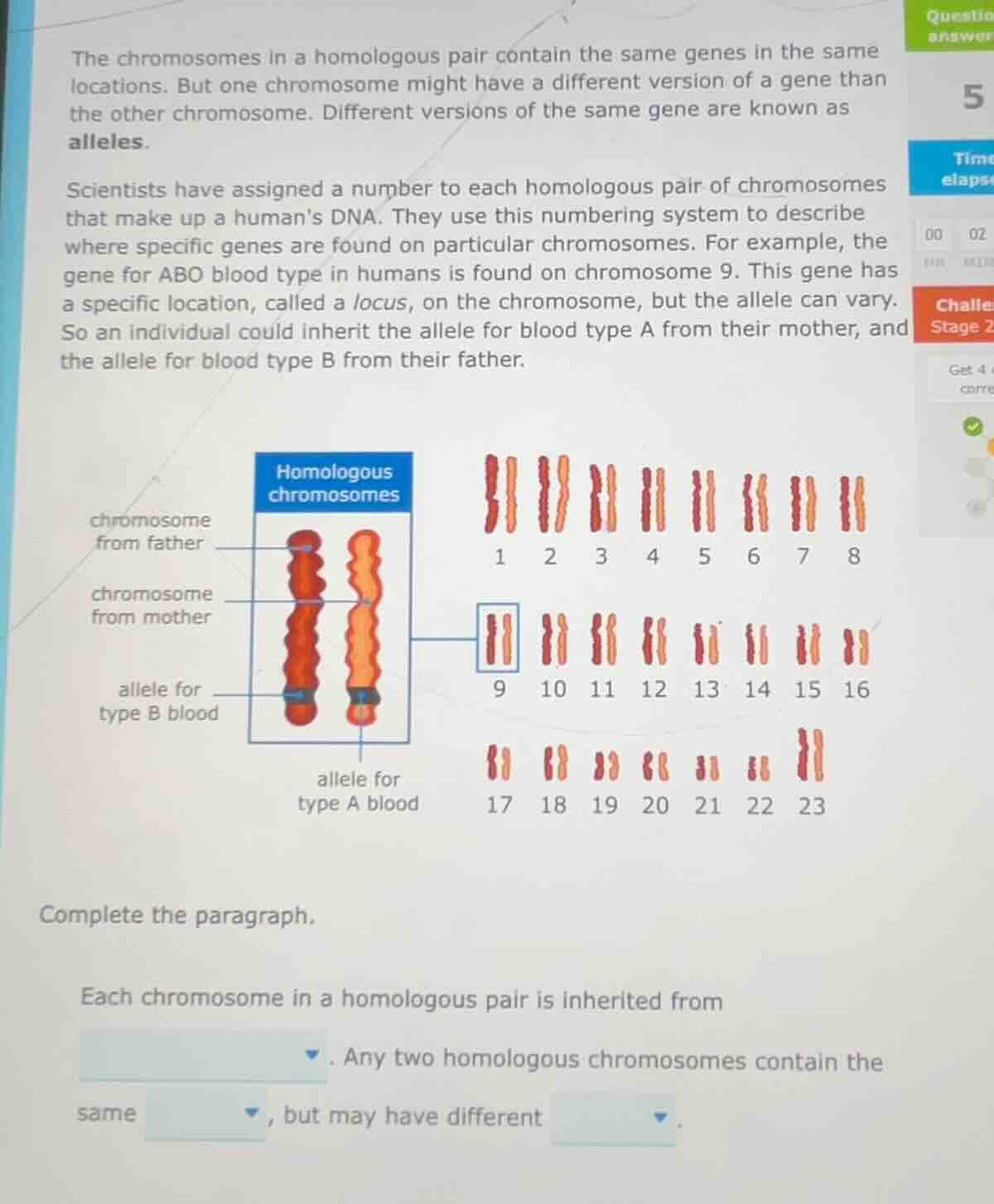 the chromosomes in a homologous pair contain the same genes in the same…