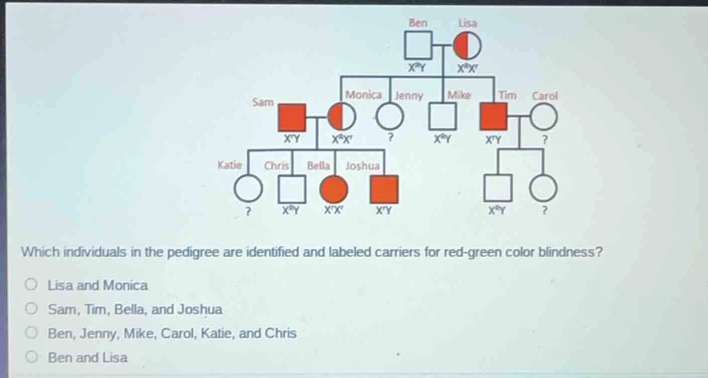 which individuals in the pedigree are identified and labeled carriers f…