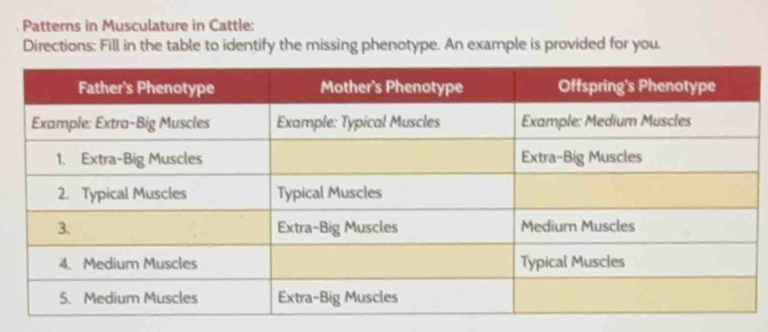 patterns in musculature in cattle: directions: fill in the table to ide…