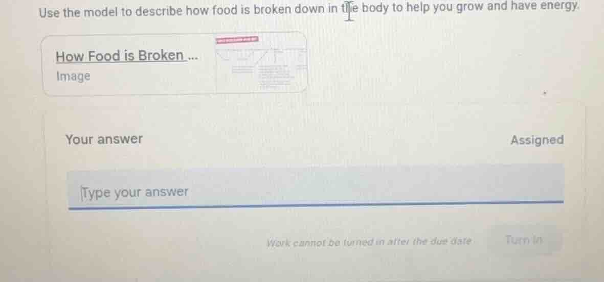 use the model to describe how food is broken down in the body to help y…